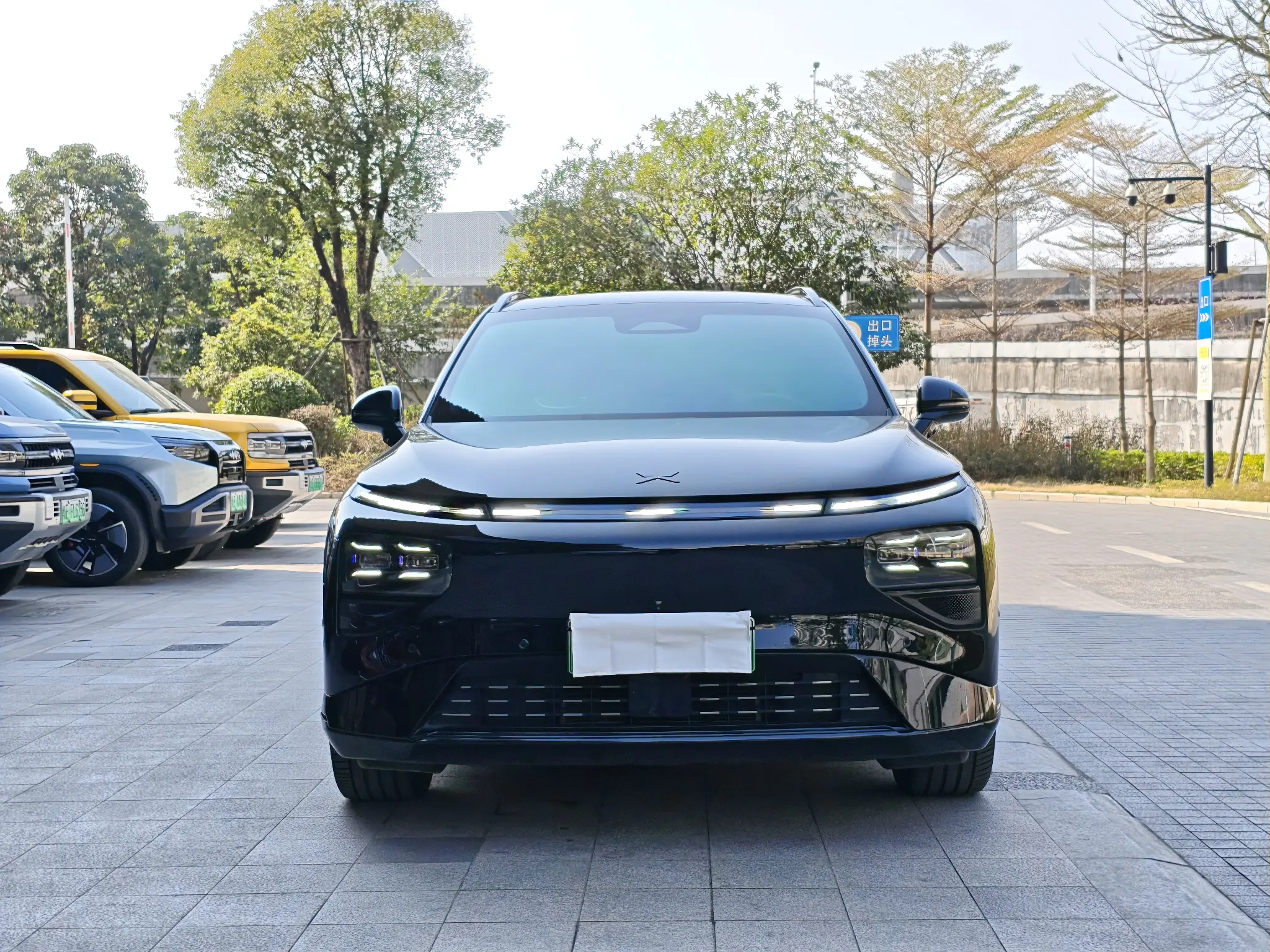 Xpeng G9  из Китая