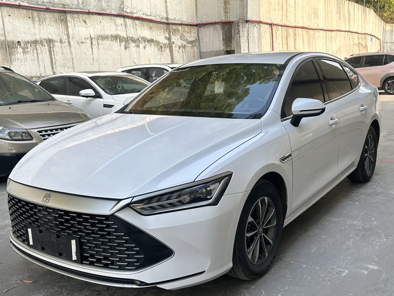 BYD Qin PLUS DM  из Китая