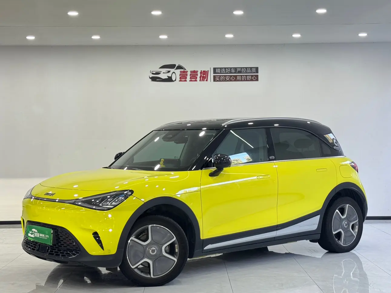 Smart elf #1  из Китая