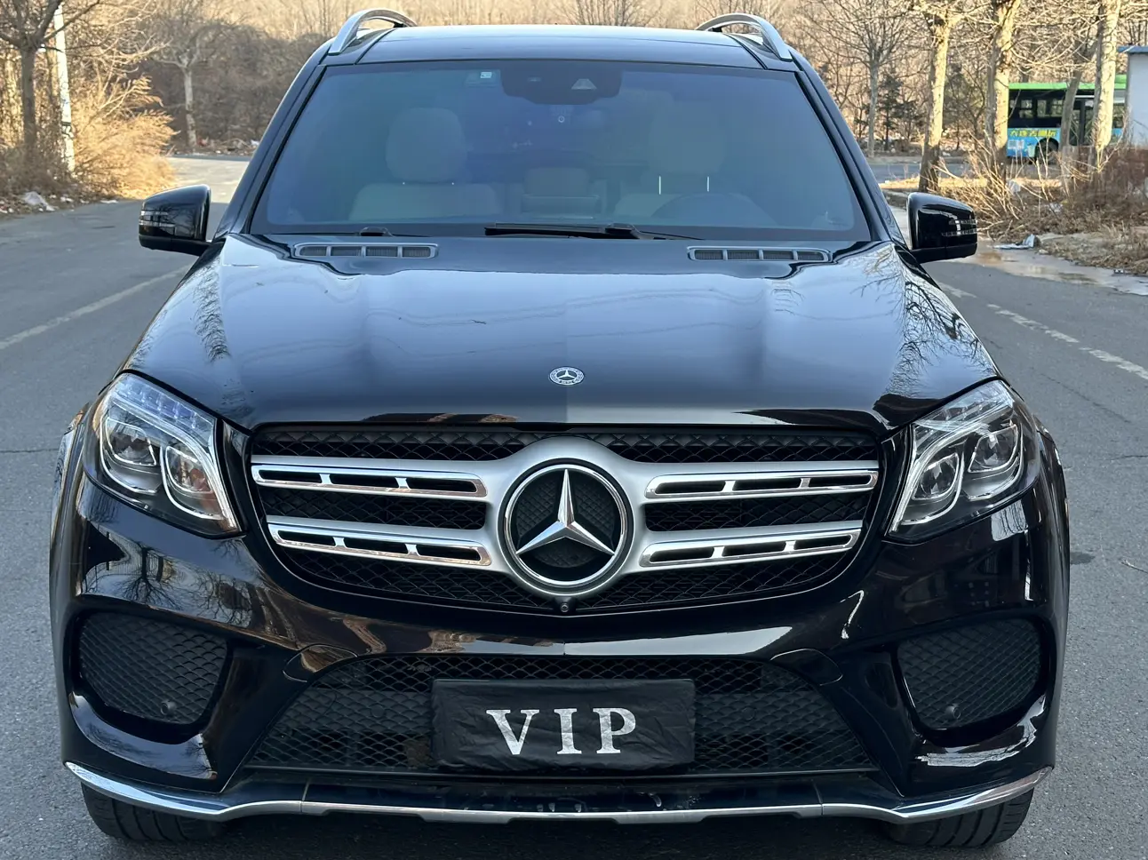 Mercedes-Benz Mercedes Benz GLS  из Китая