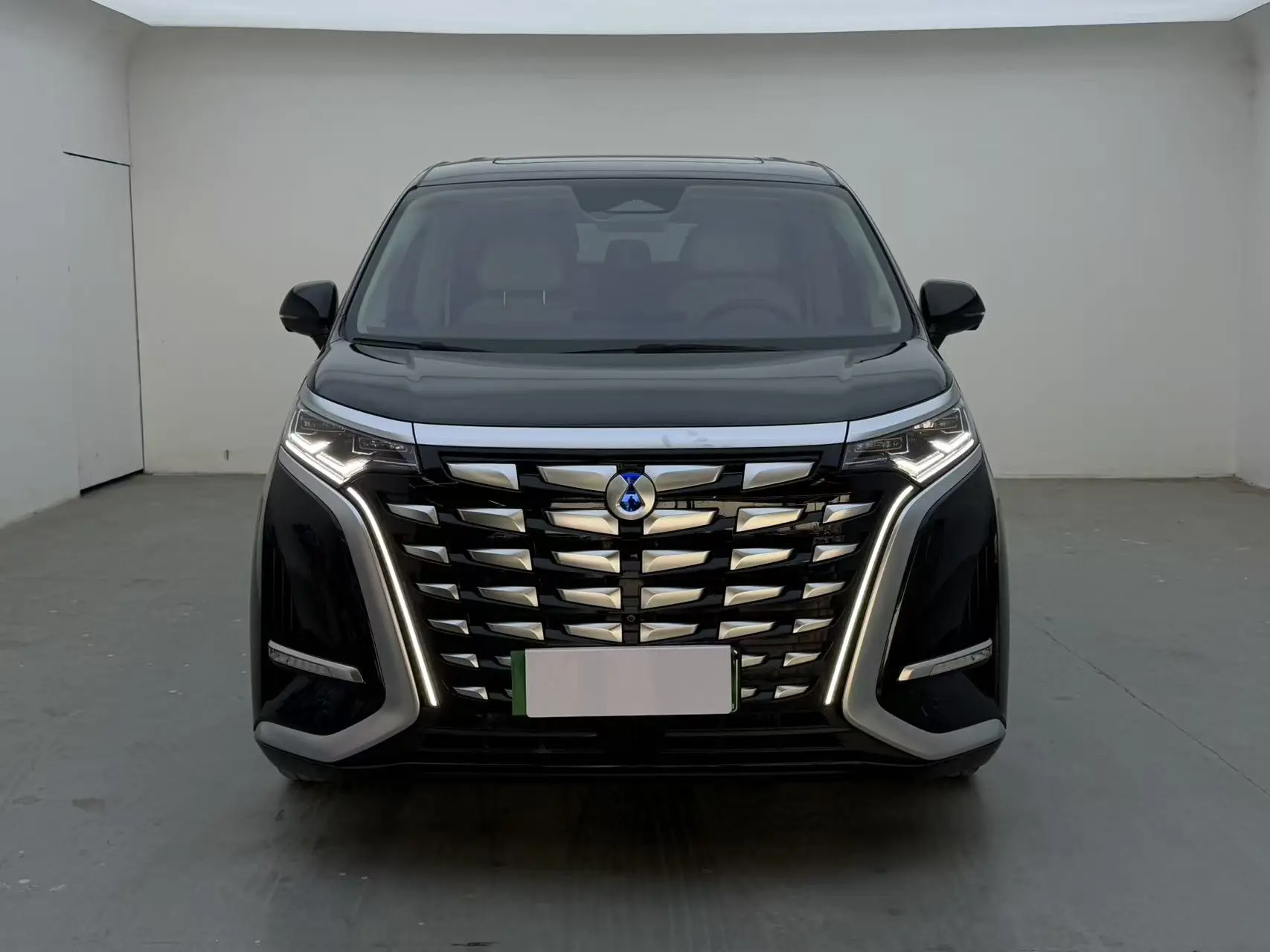 Denza D9 DM  из Китая