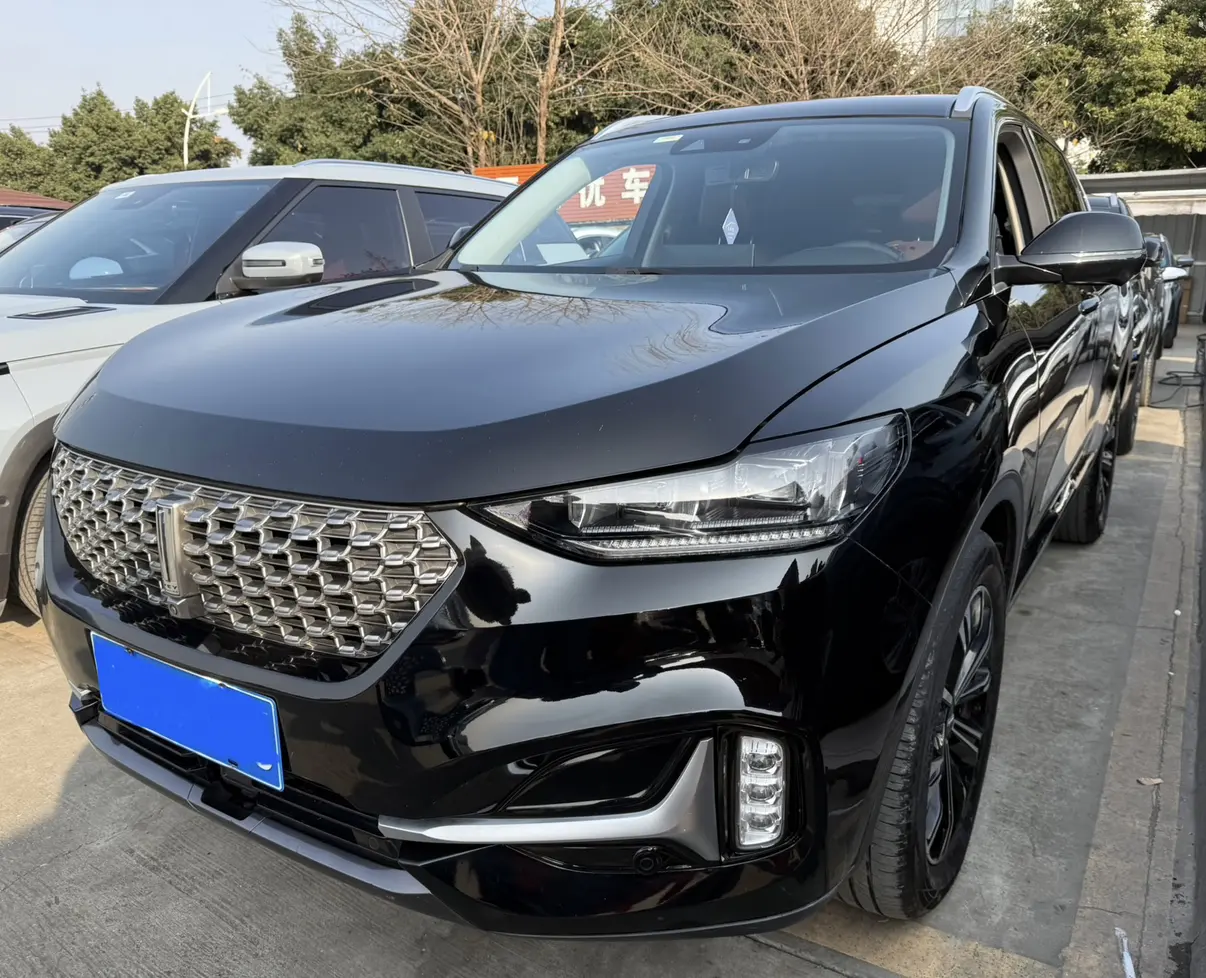 Wey Wei brand VV6  из Китая