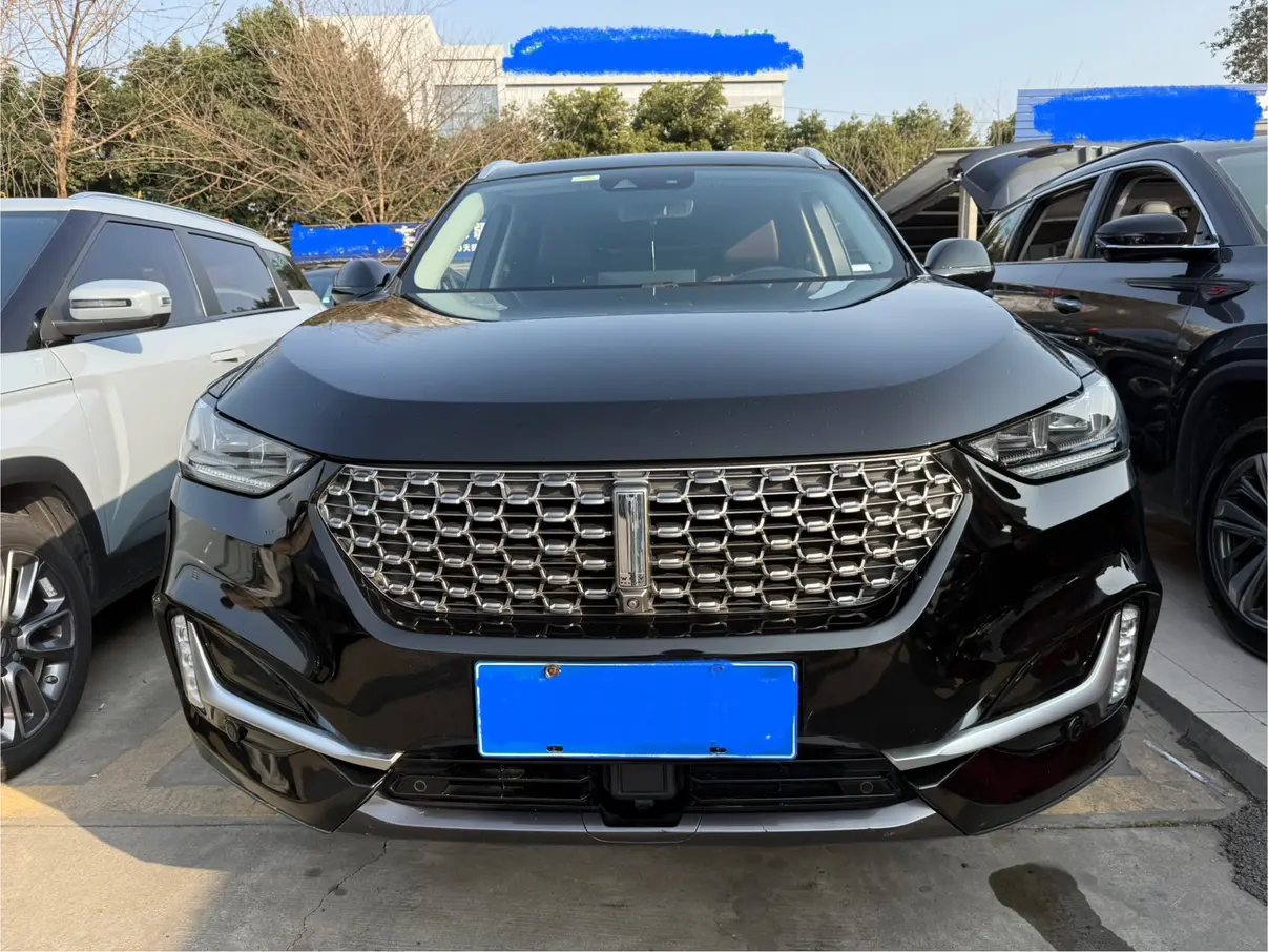 Wey Wei brand VV6  из Китая