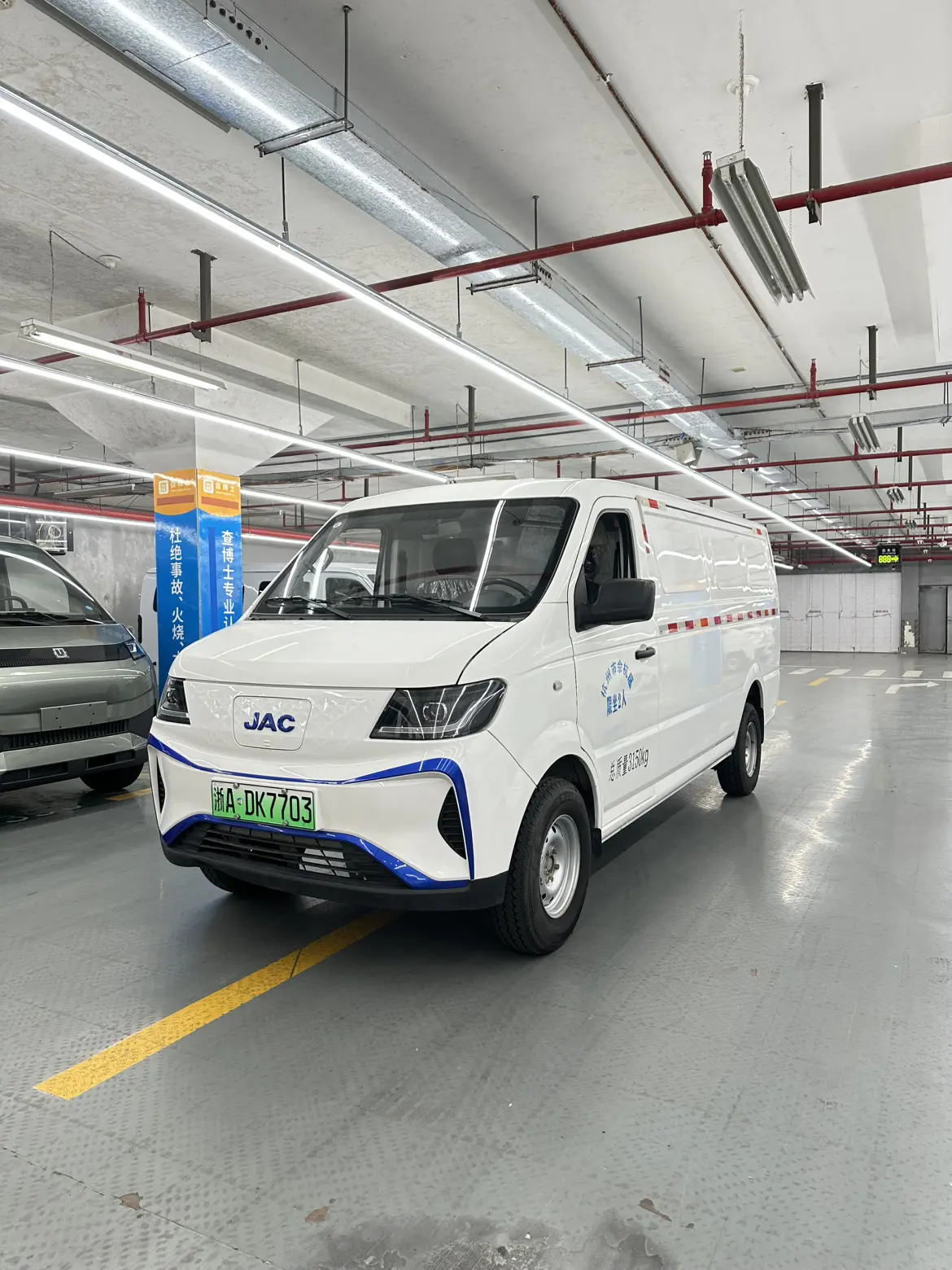 Jiangxi Blue cat  из Китая