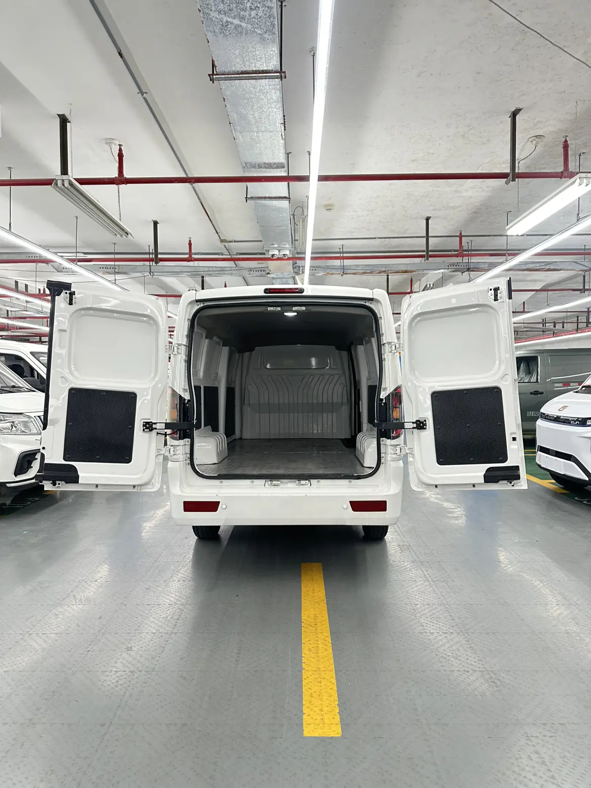 Jiangxi Blue cat  из Китая