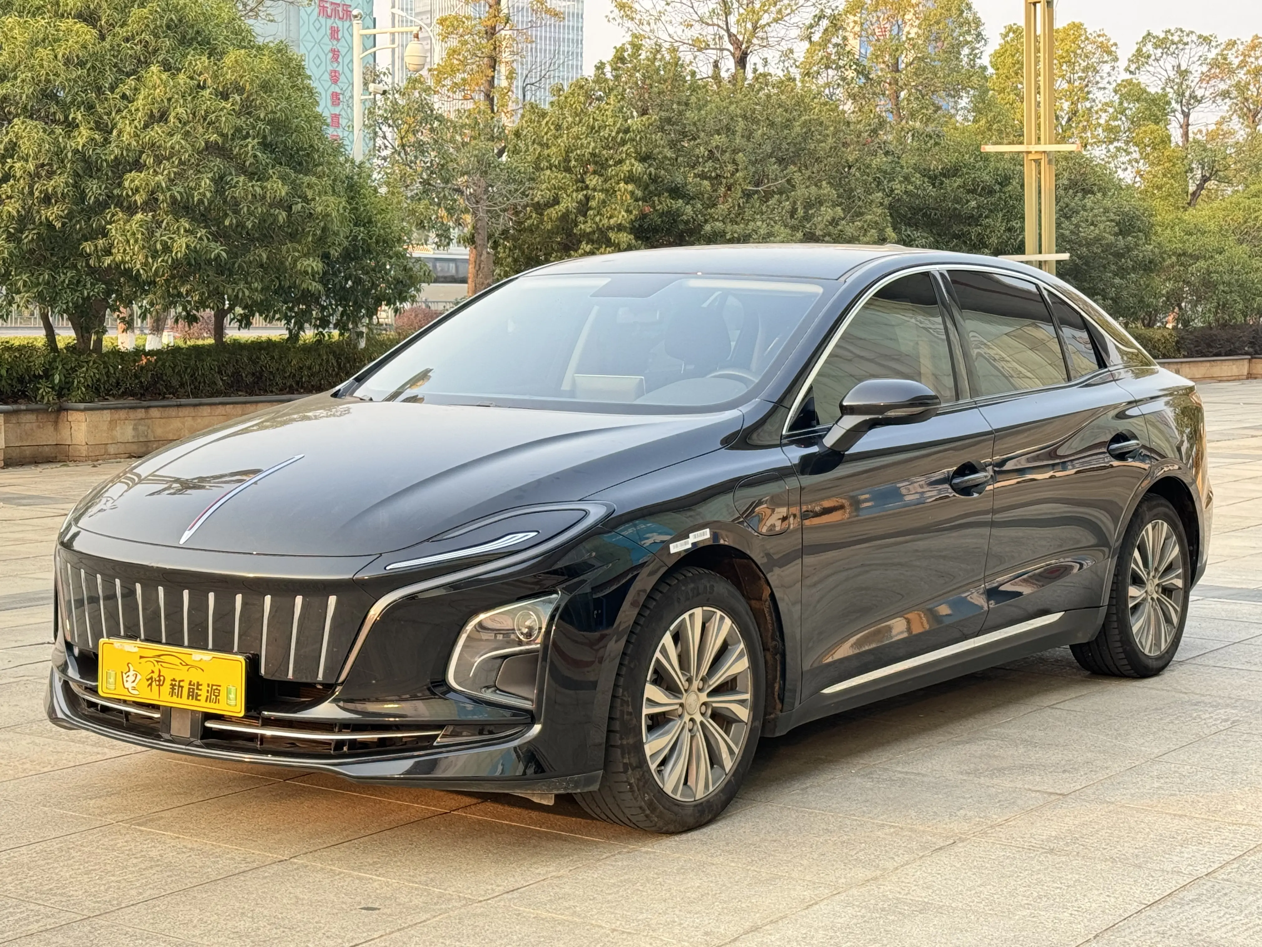 Hongqi E-QM5  из Китая