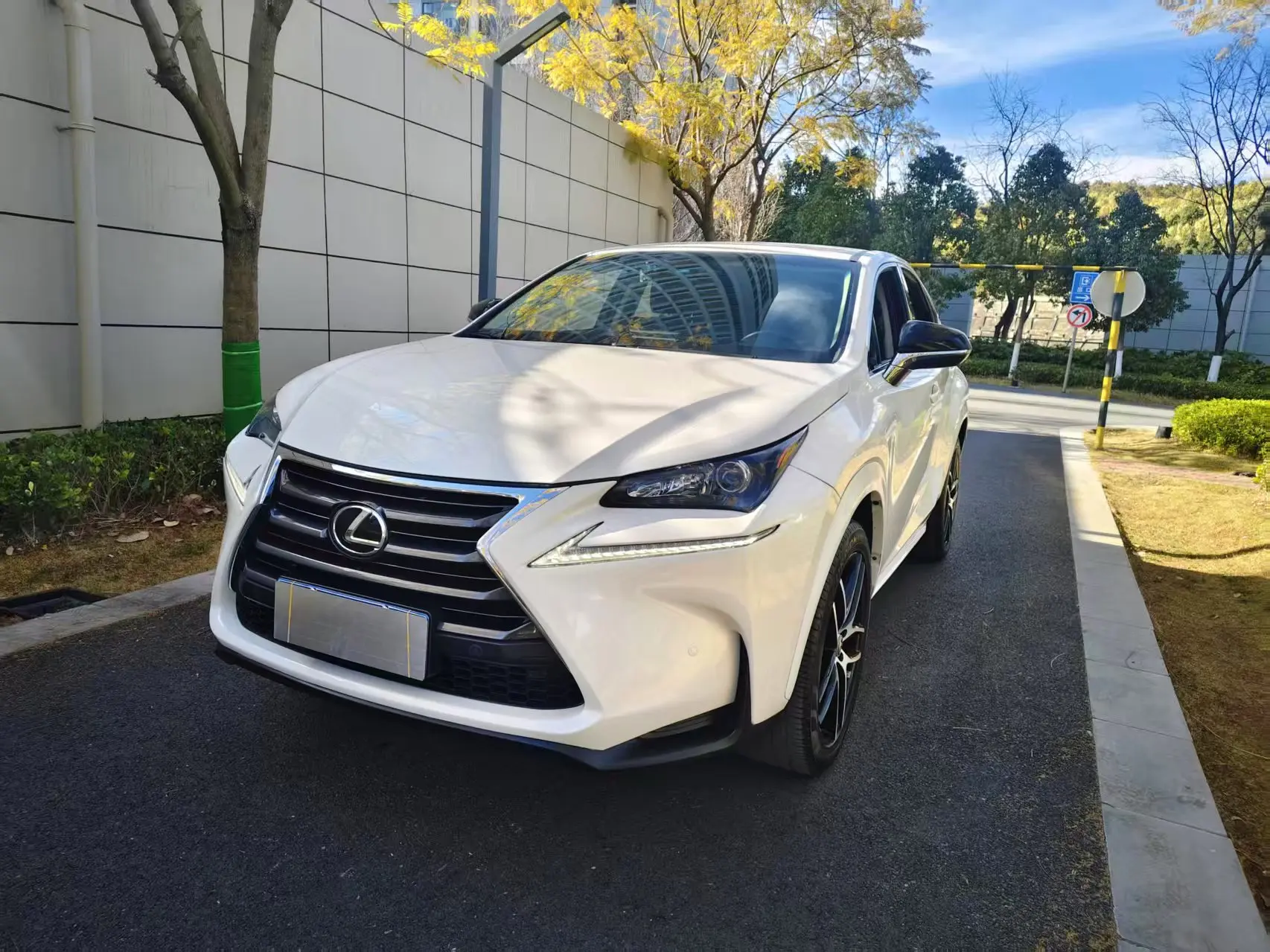 Lexus NX  из Китая