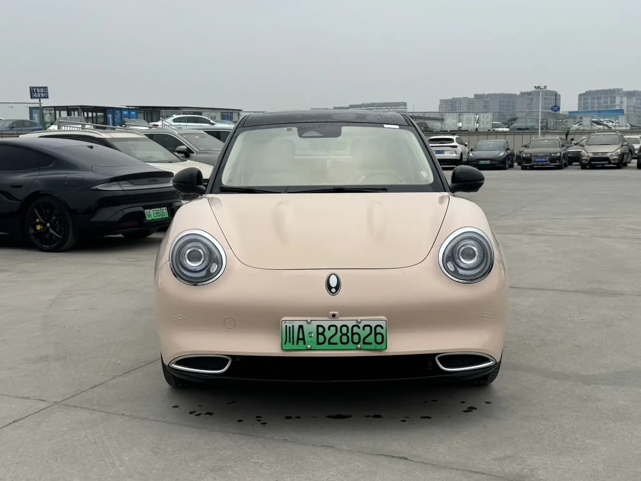 ORA Euler good cat  из Китая