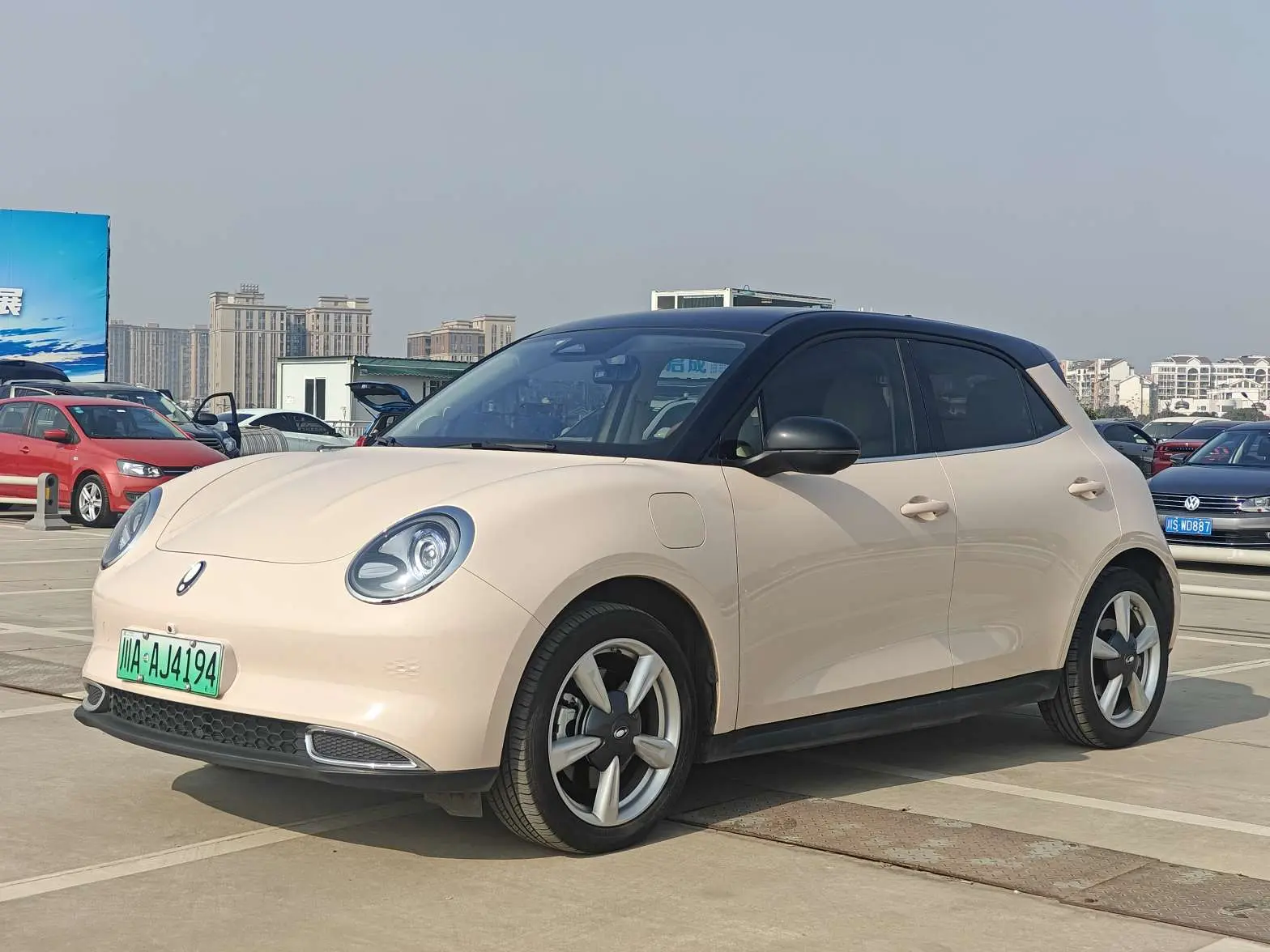 ORA Euler good cat  из Китая