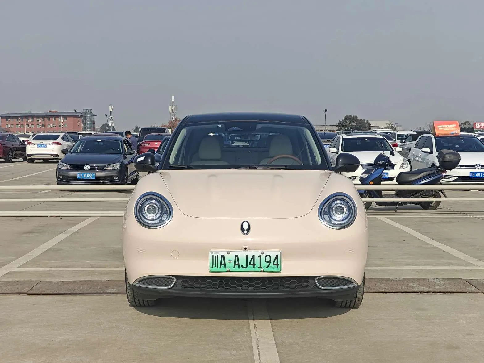 ORA Euler good cat  из Китая