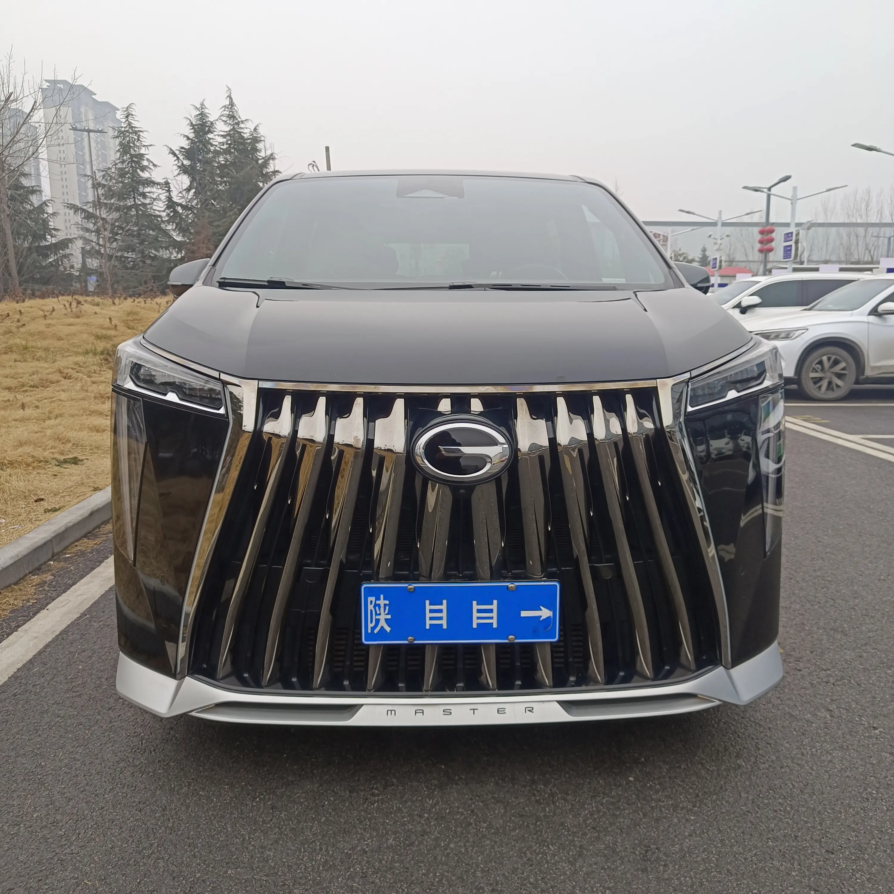 GAC Trumpchi M8  из Китая