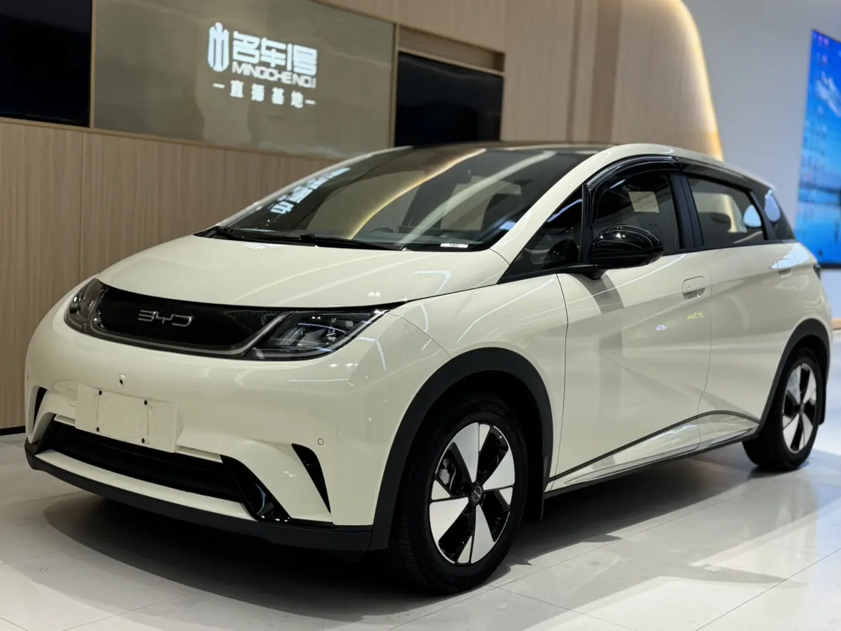 BYD Dolphin  из Китая