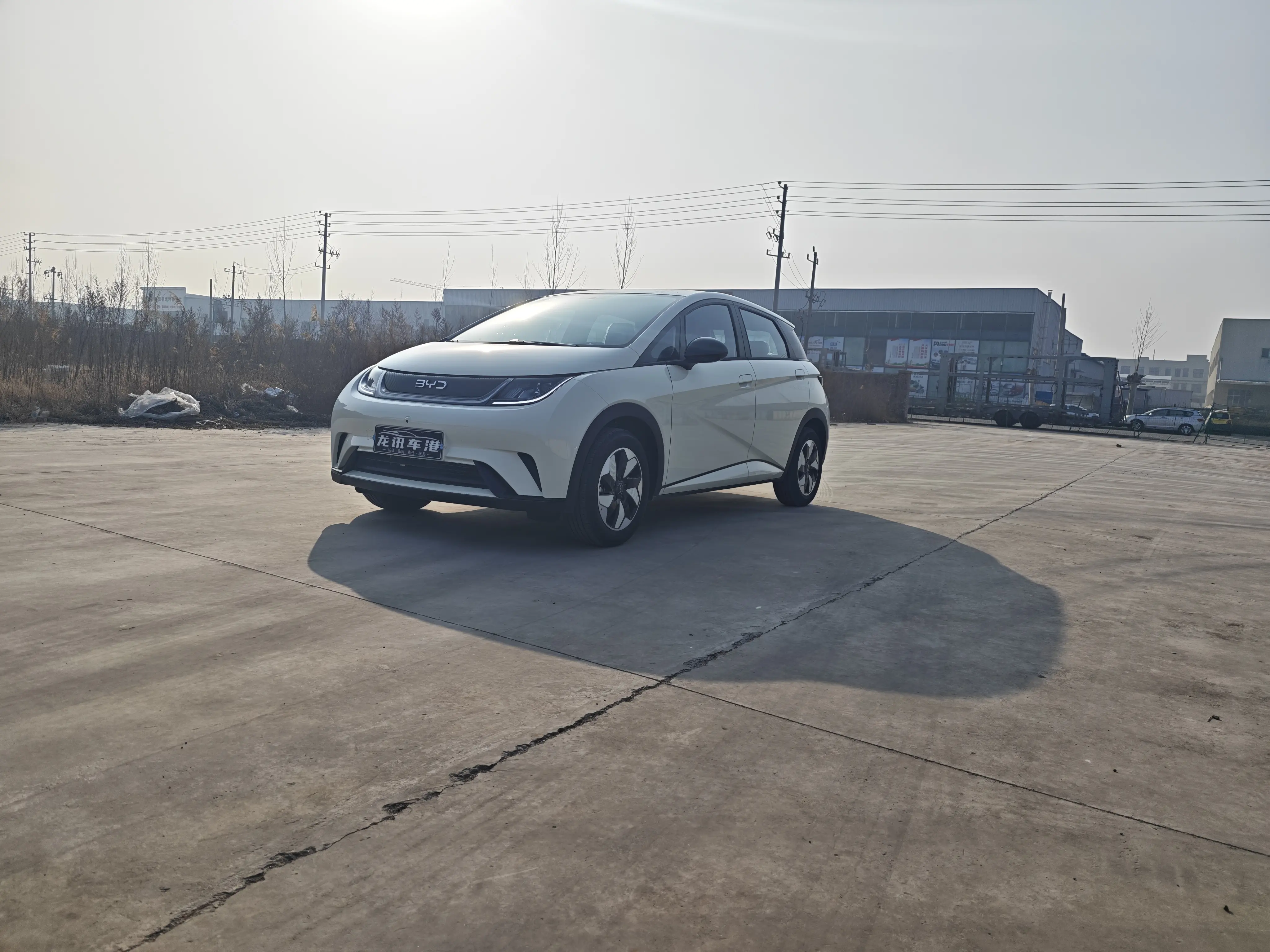 BYD Dolphin  из Китая