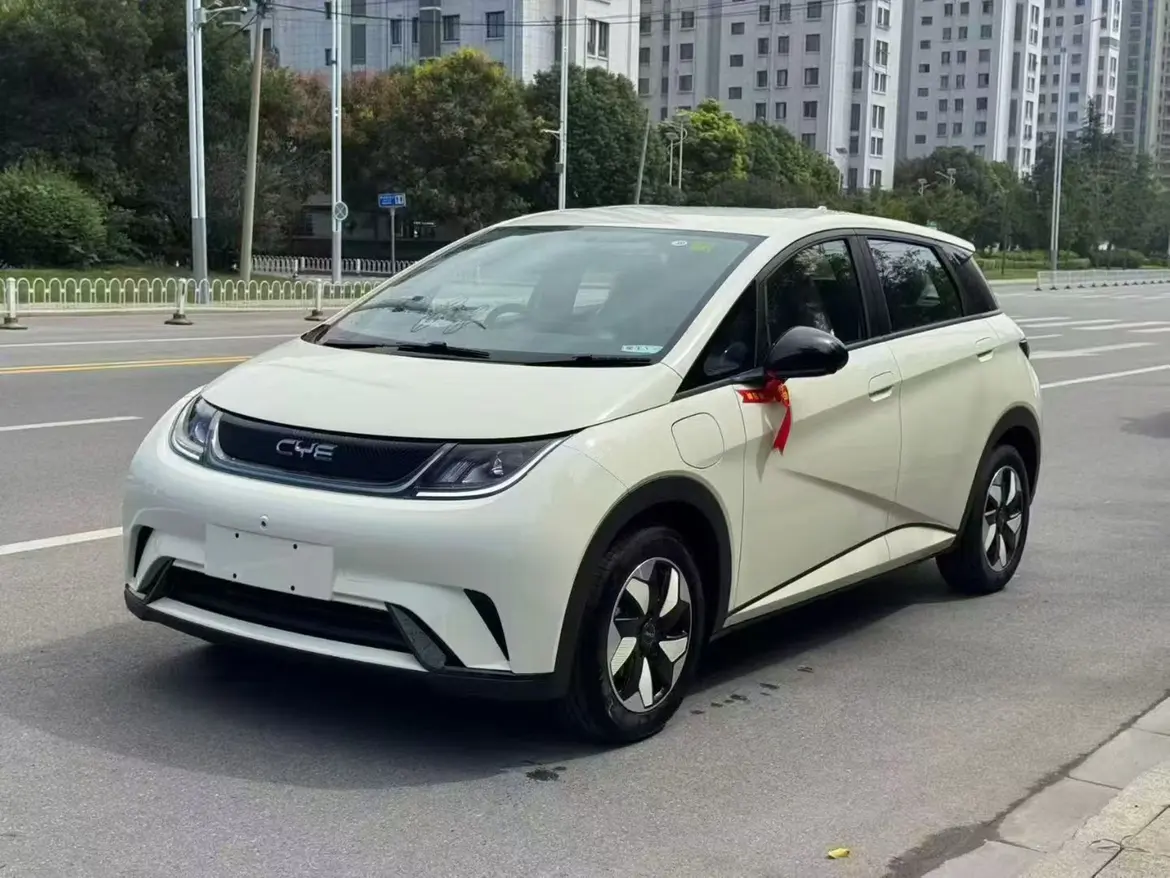 BYD Dolphin  из Китая