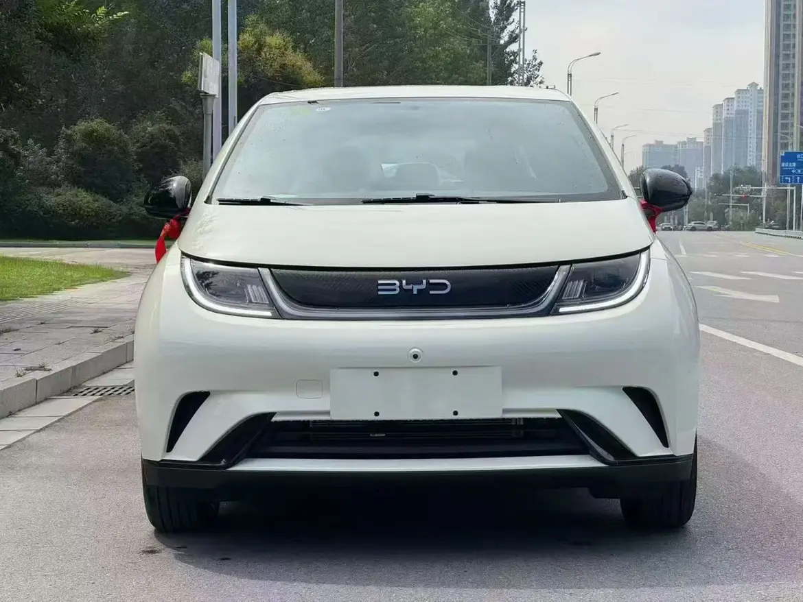 BYD Dolphin  из Китая
