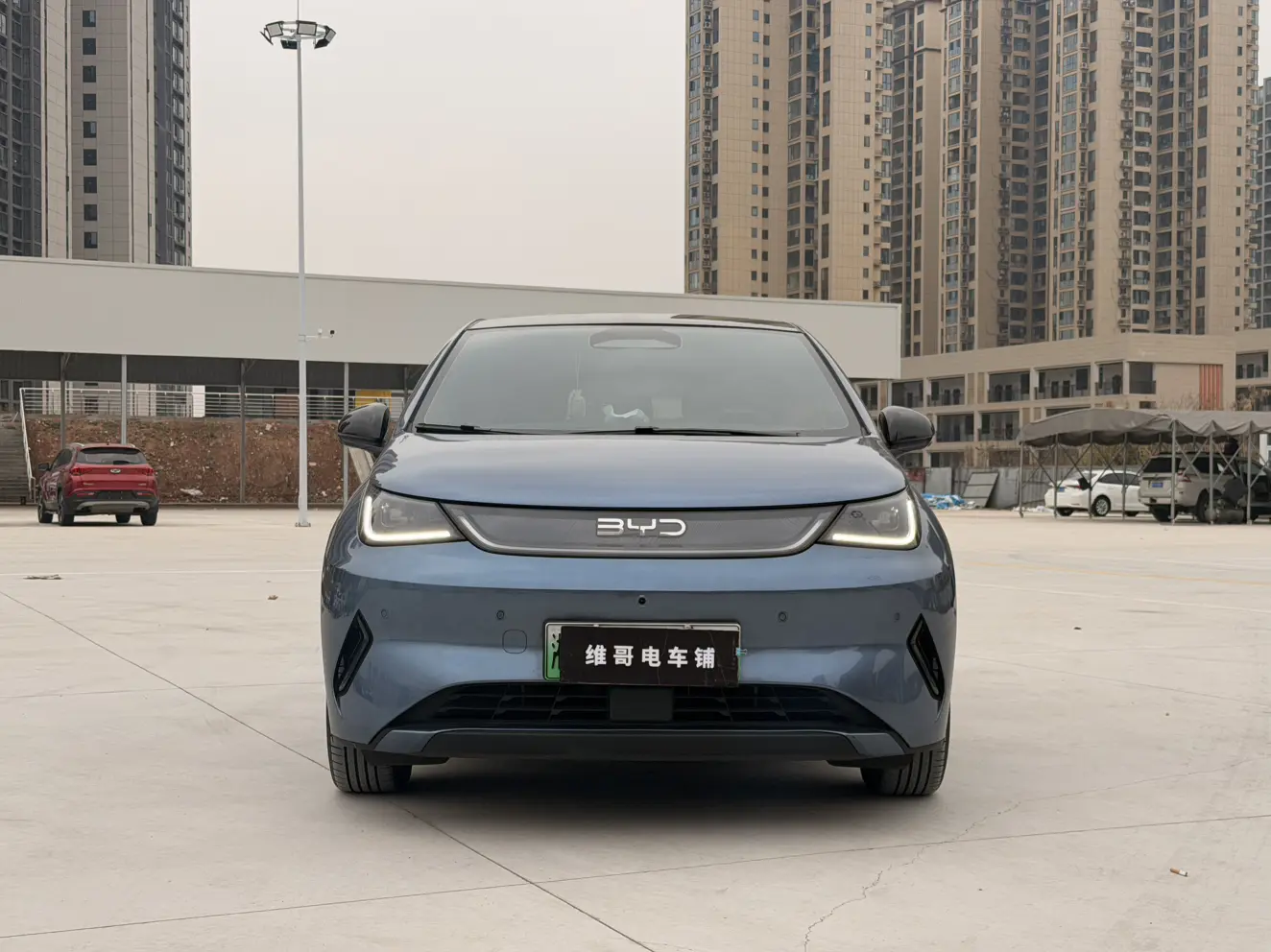 BYD Dolphin  из Китая