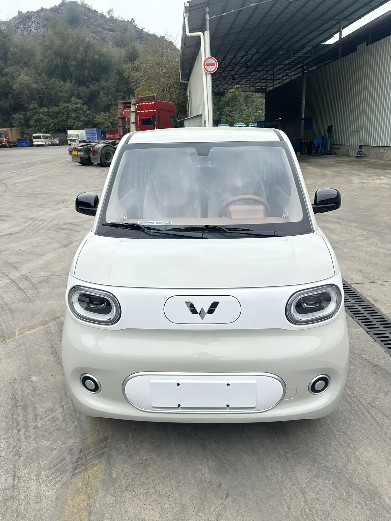 Wuling Hongguang MINIEV  из Китая