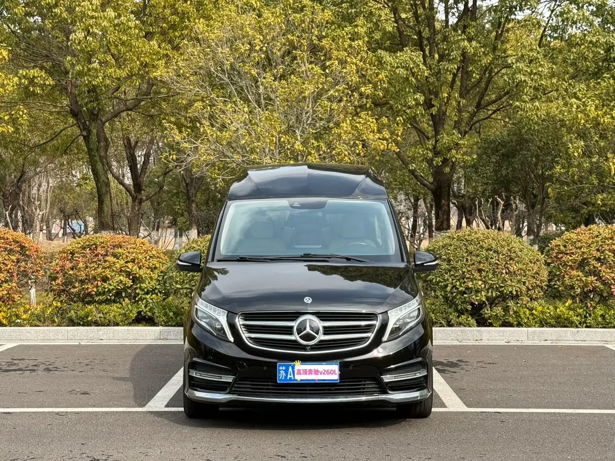Mercedes-Benz Mercedes Benz V Class  из Китая