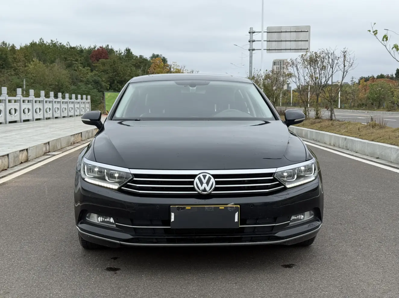 Volkswagen Magotan  из Китая