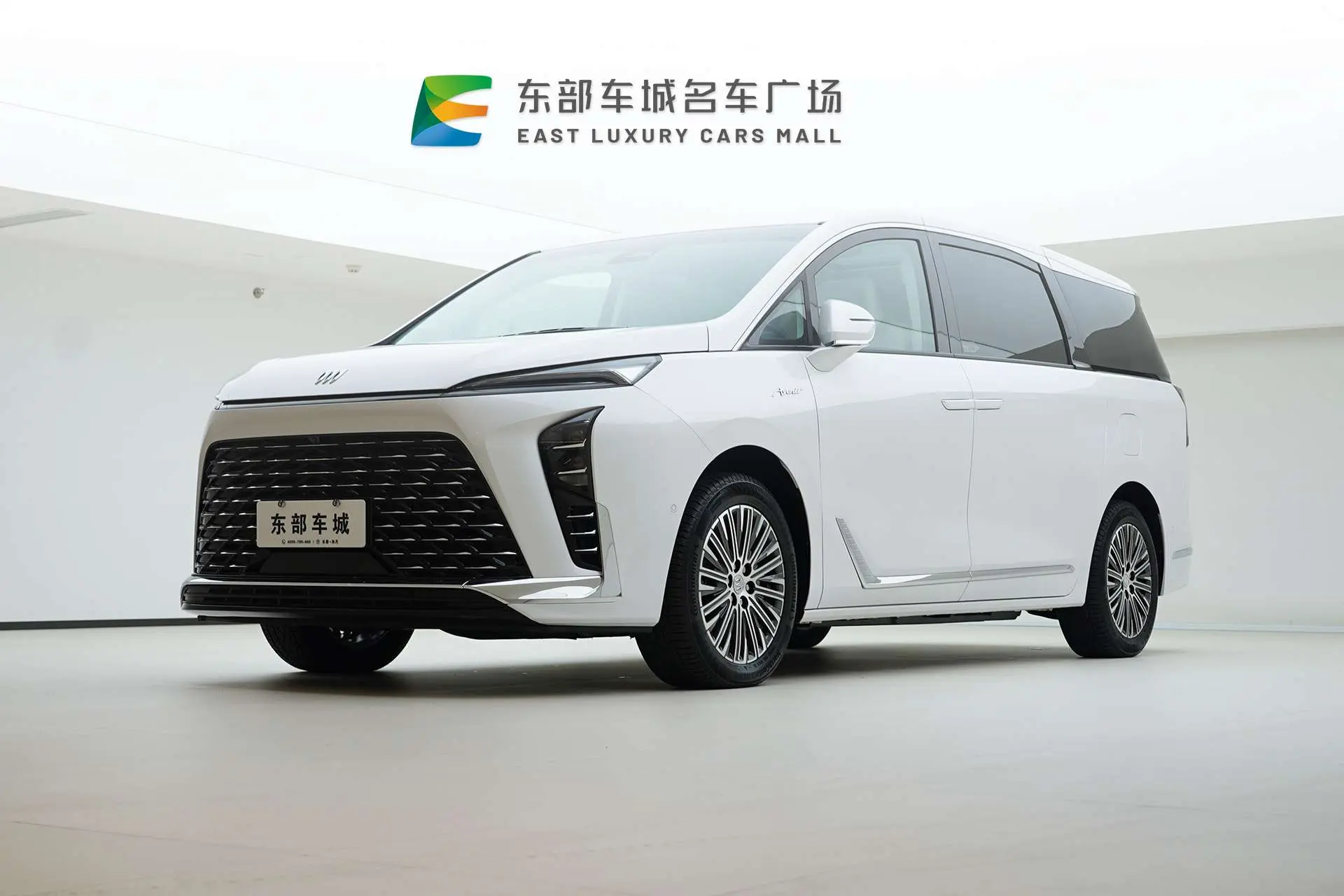 Buick GL8 PHEV  из Китая