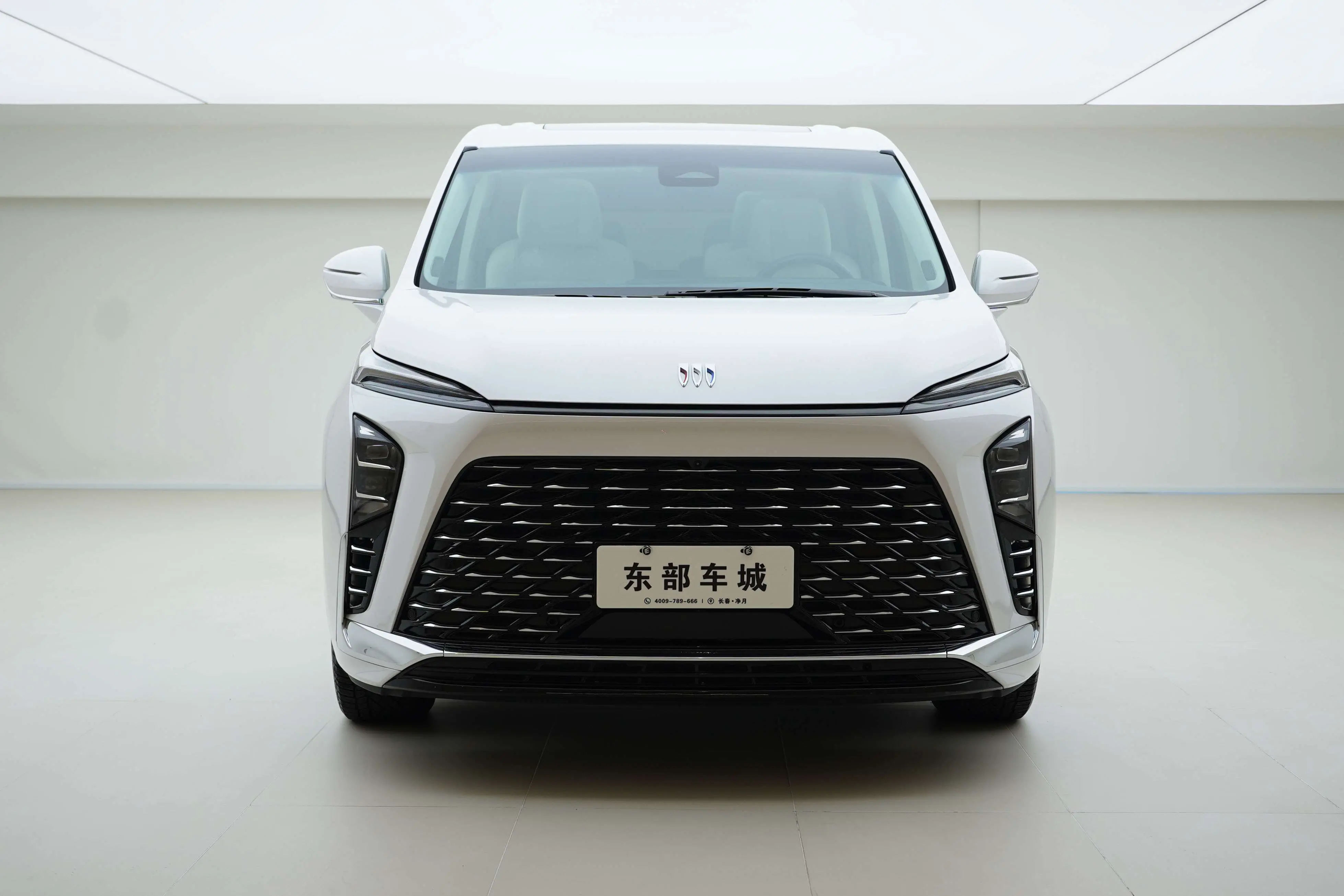 Buick GL8 PHEV  из Китая