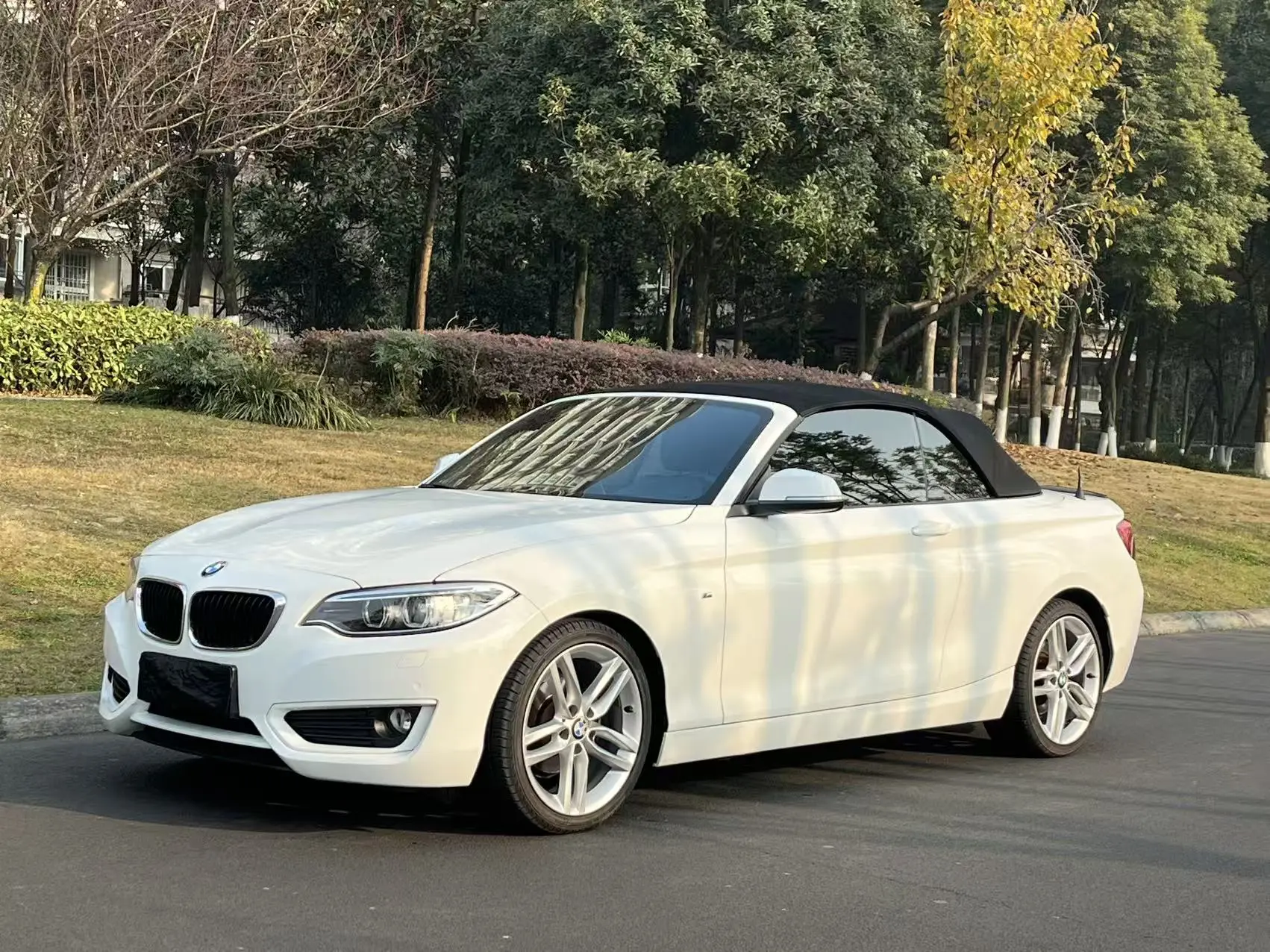 BMW 2 Series  из Китая