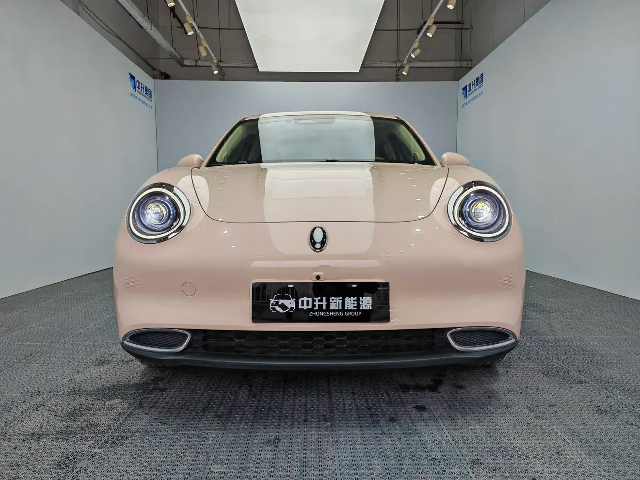 ORA Euler good cat  из Китая