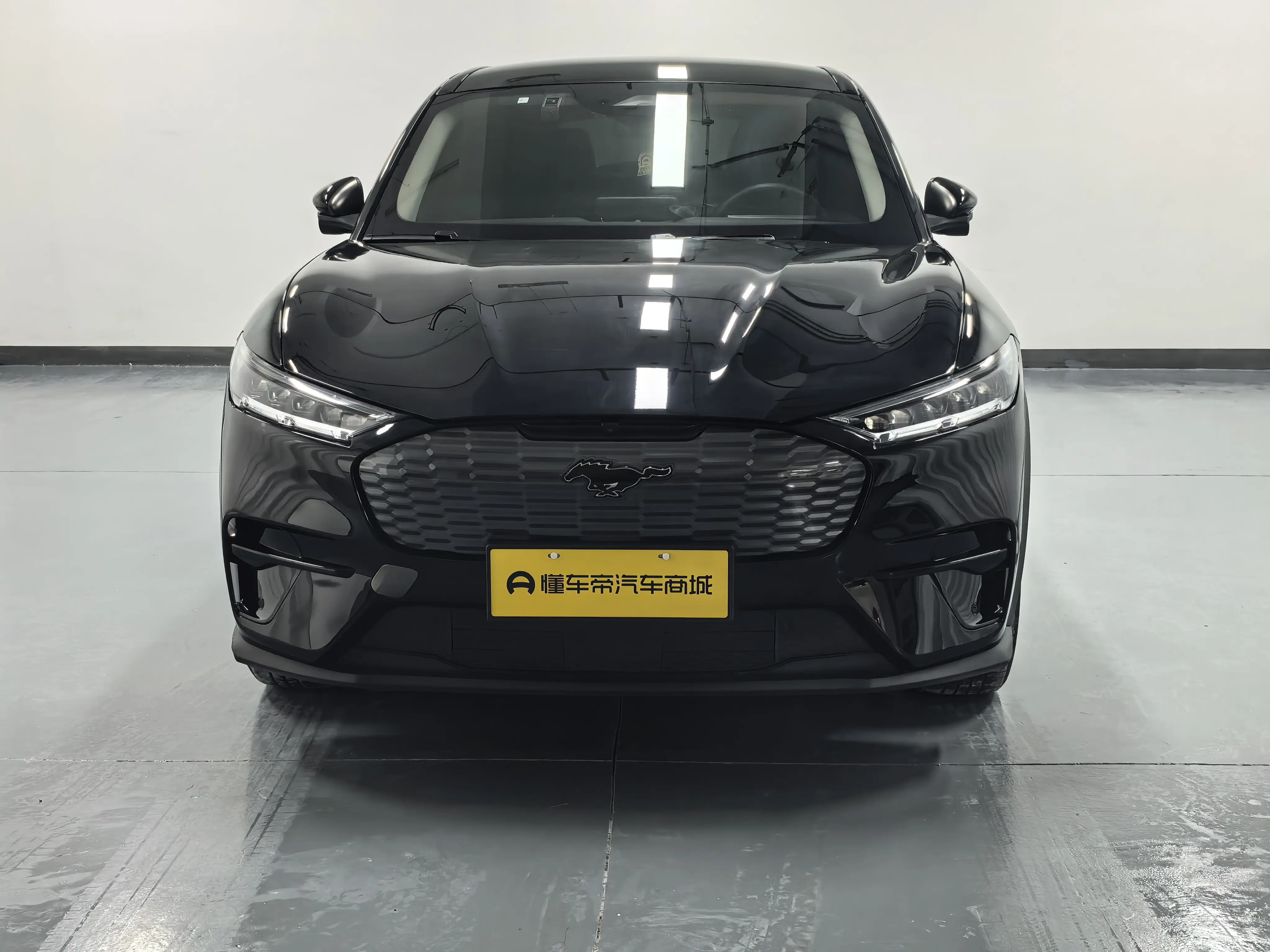 Ford electric horse  из Китая