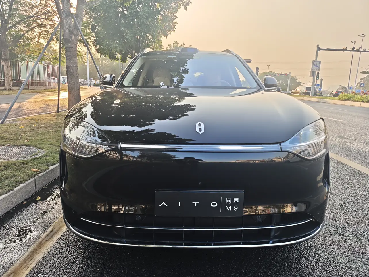 AITO M9 (Wenjie M9)  из Китая