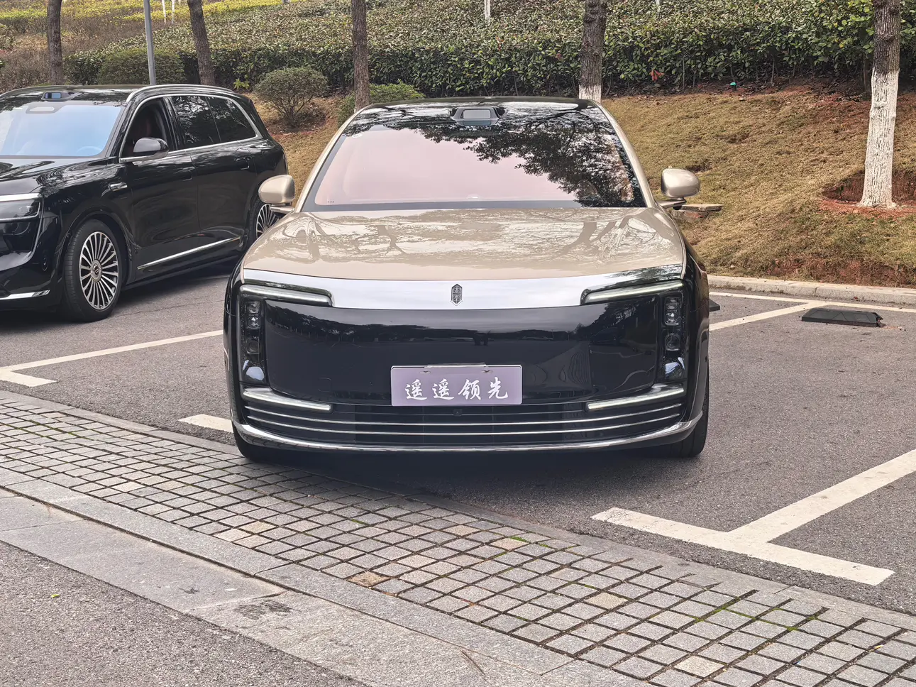 Zunjie S800  из Китая