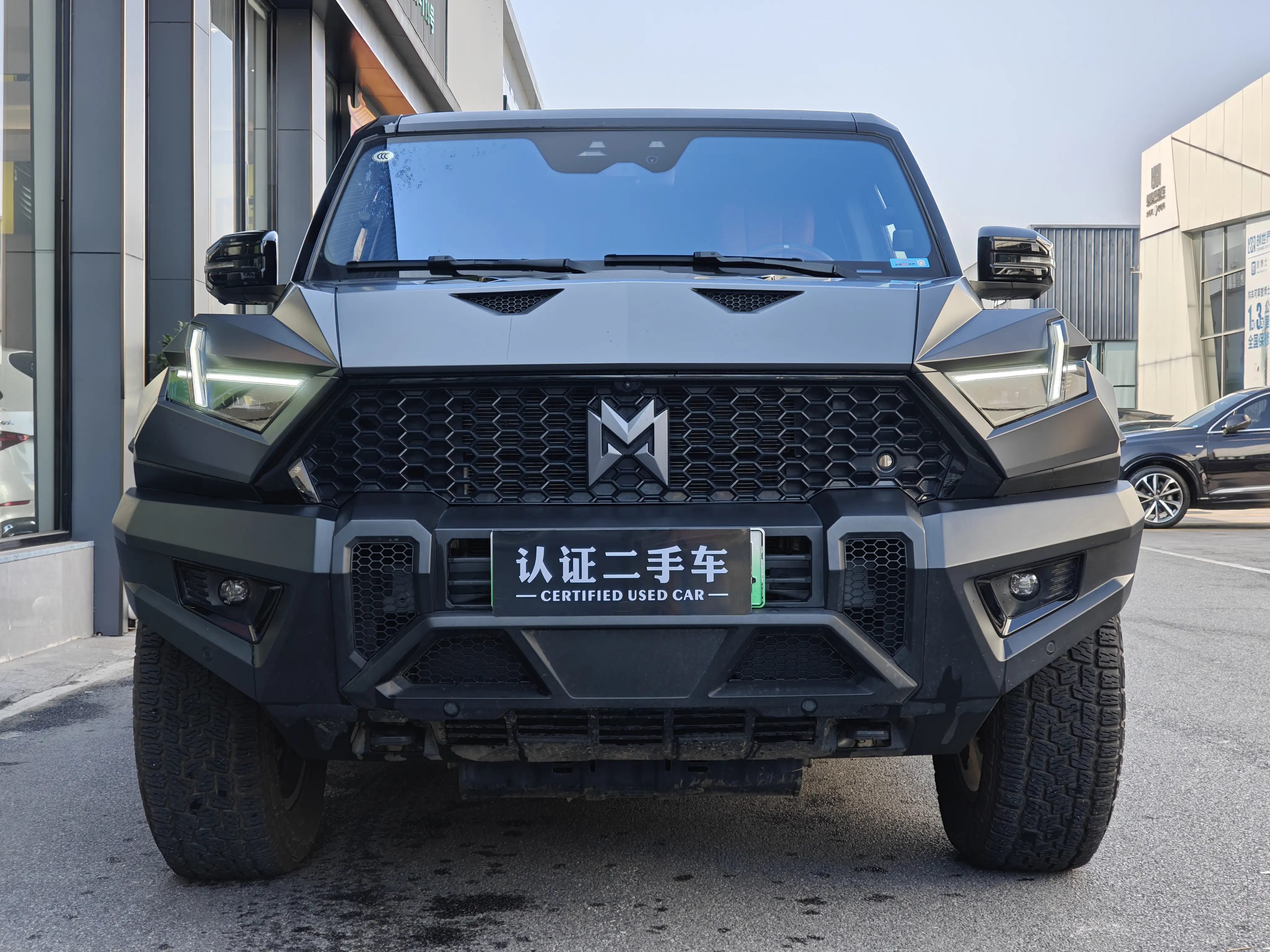 Mengshi Warrior 917  из Китая