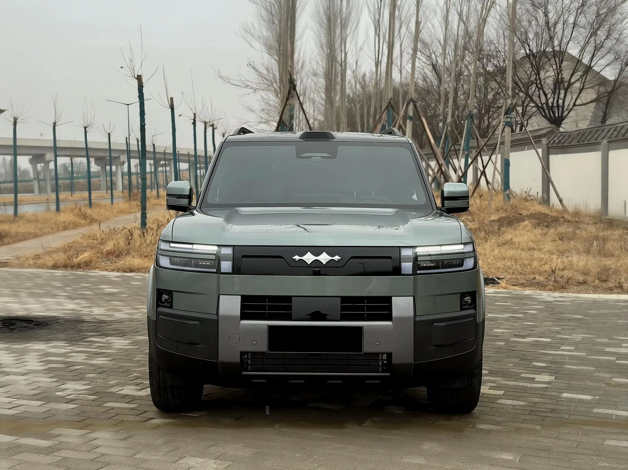 BYD Leopard Titanium 7  из Китая