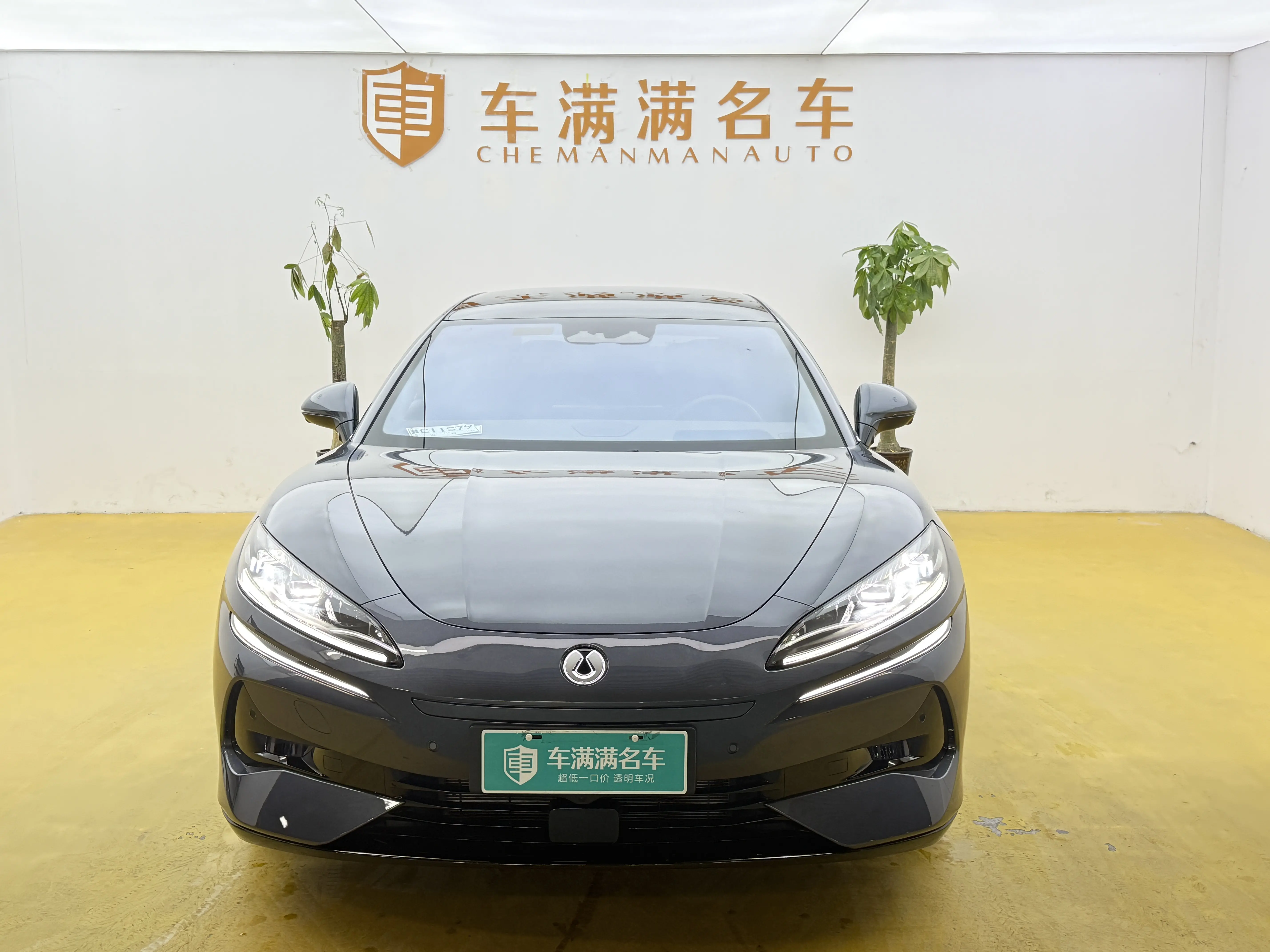 Denza Tengzhong Z9 DM  из Китая