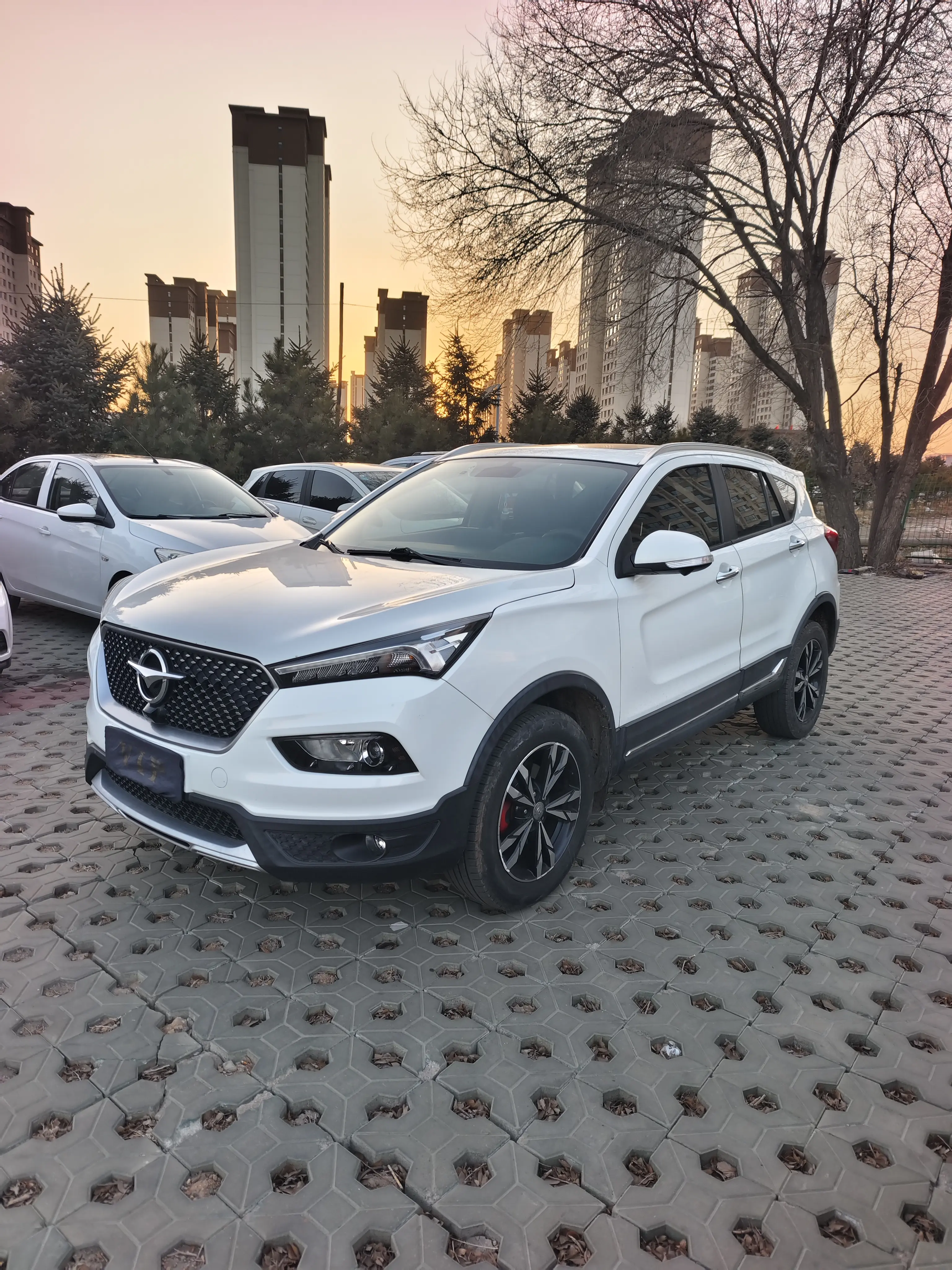 HAIMA Haima S5  из Китая