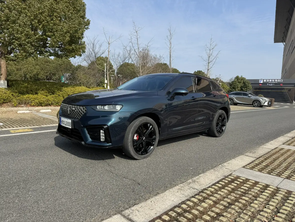 Wey Wei brand VV7  из Китая