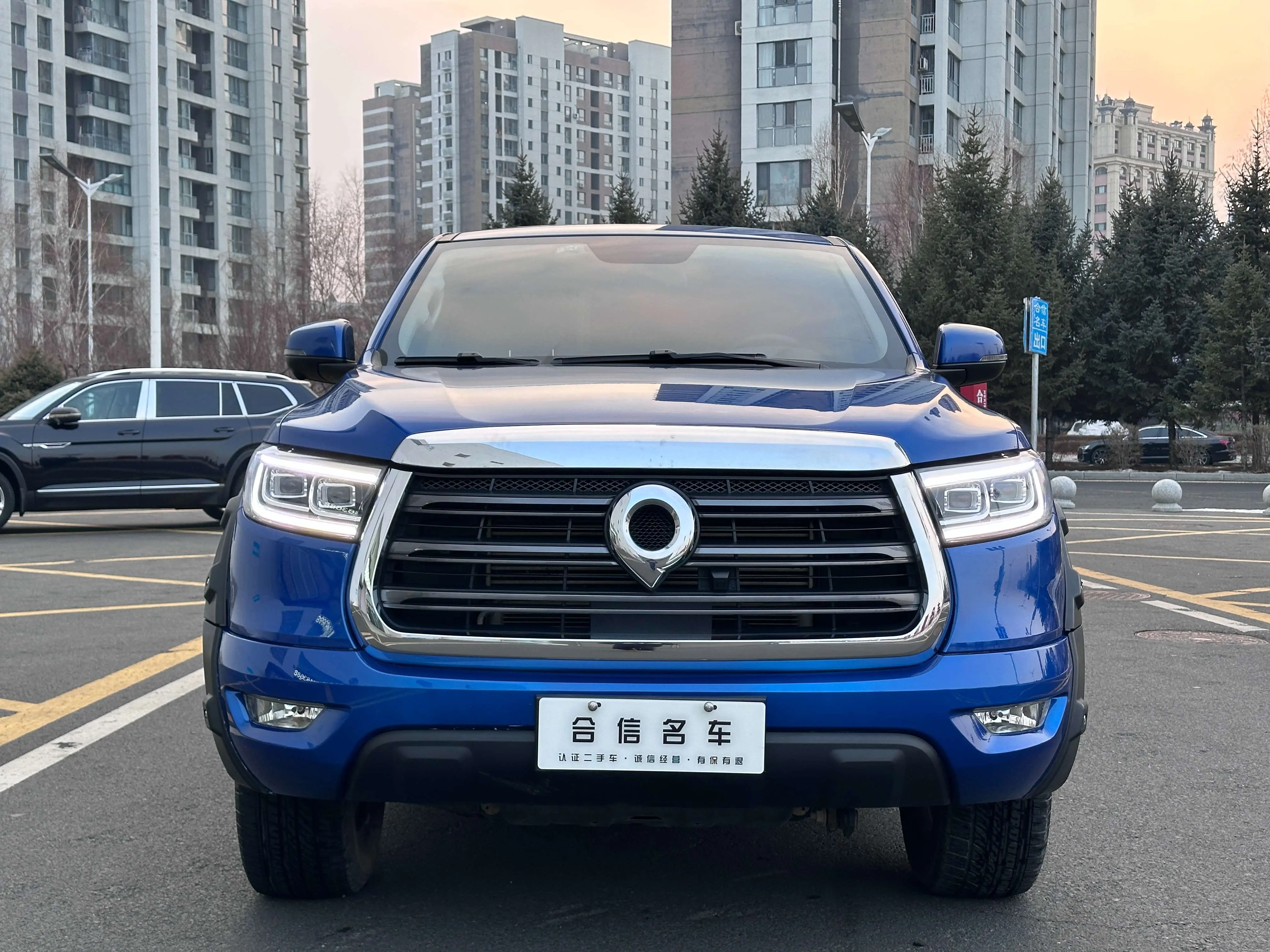 Great Wall Gun  из Китая