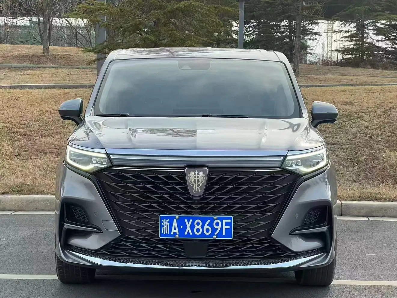 Roewe iMAX8  из Китая