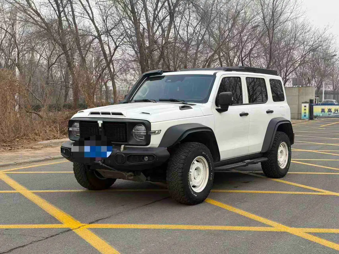 Tank 300  из Китая