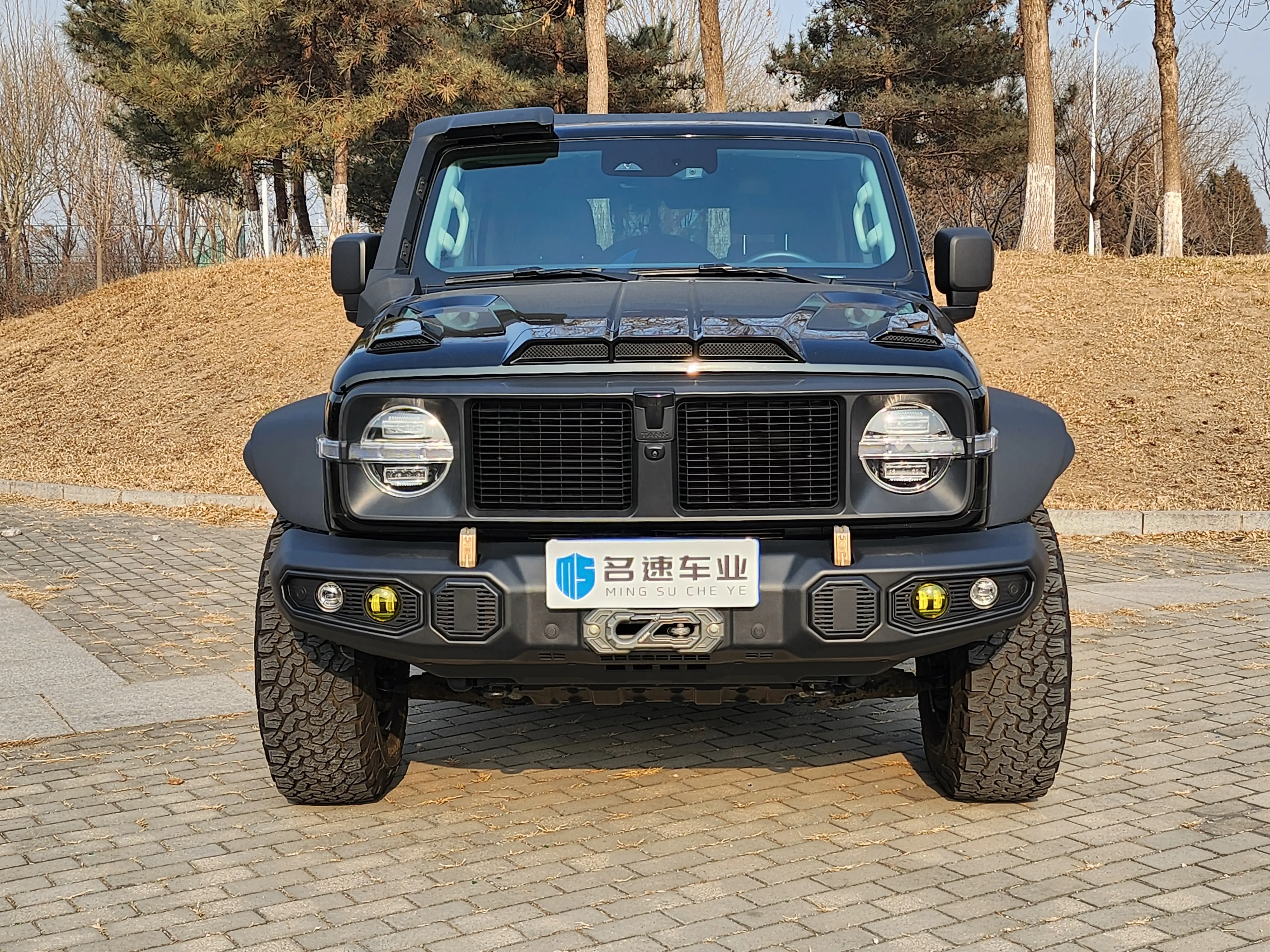 Tank 300  из Китая