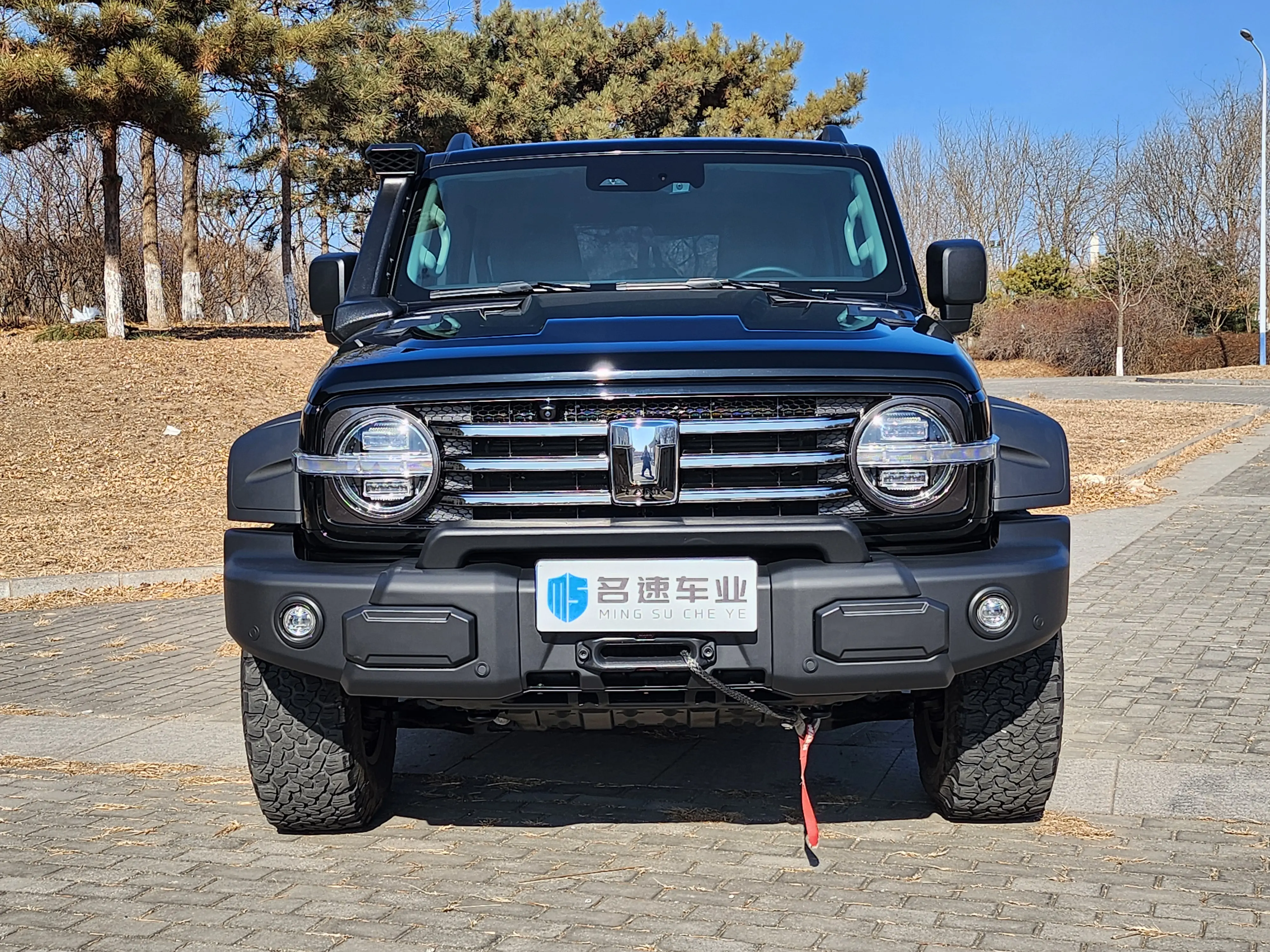 Tank 300  из Китая