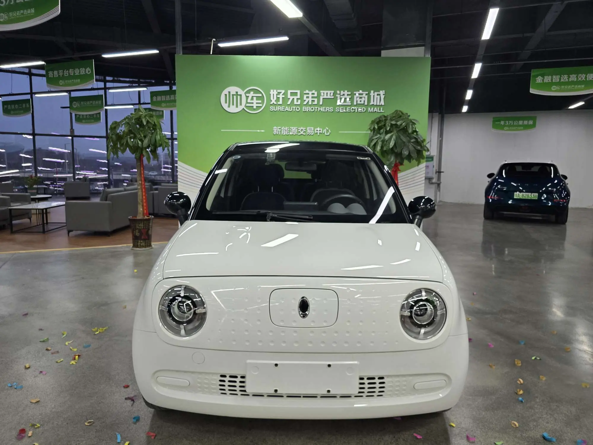 ORA Euler black cat  из Китая