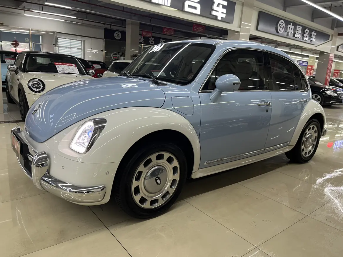 ORA Euler ballet cat  из Китая