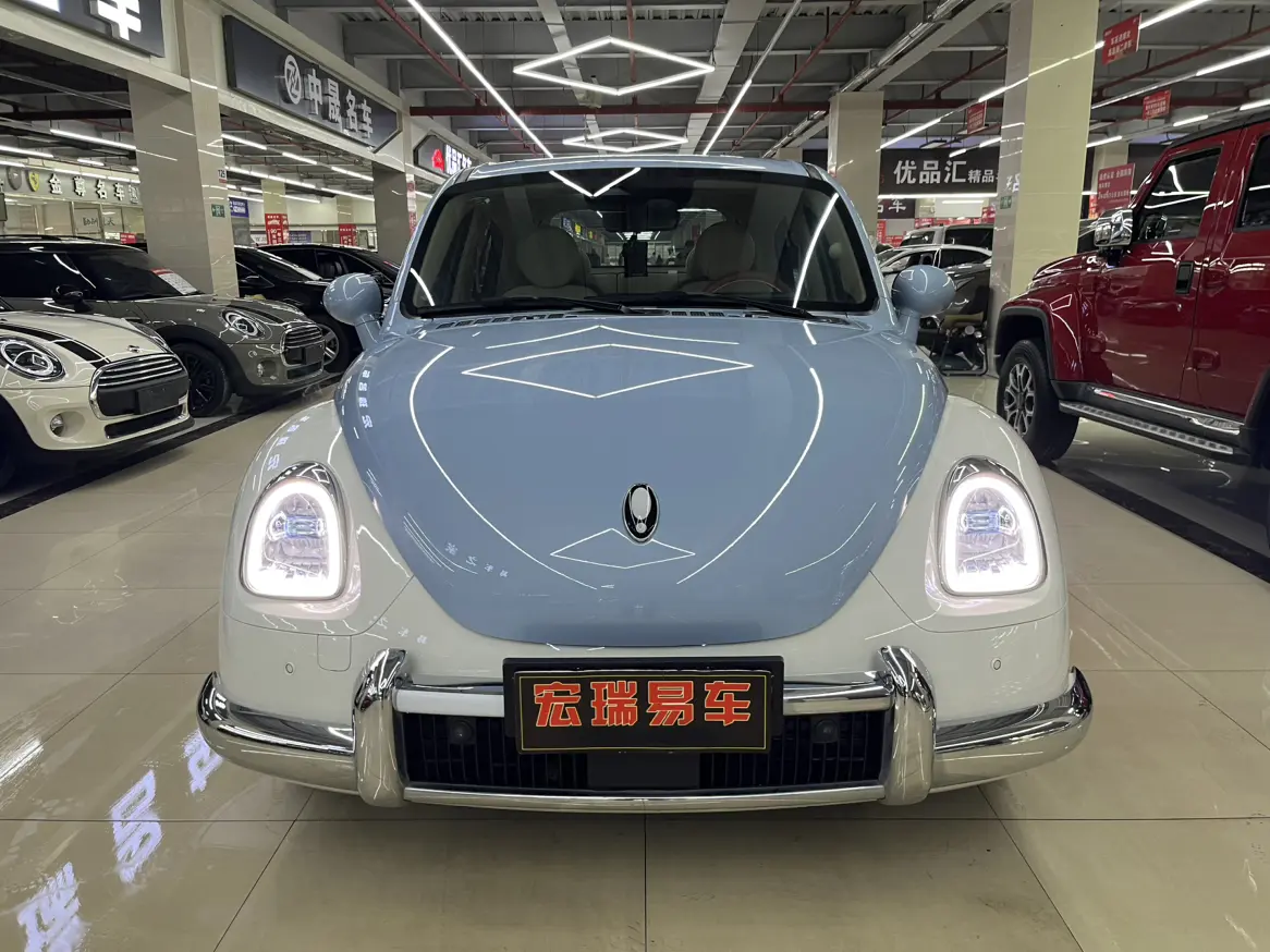 ORA Euler ballet cat  из Китая