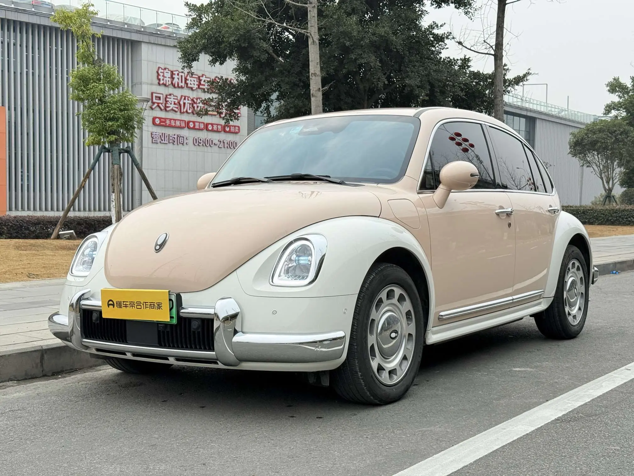 ORA Euler ballet cat  из Китая