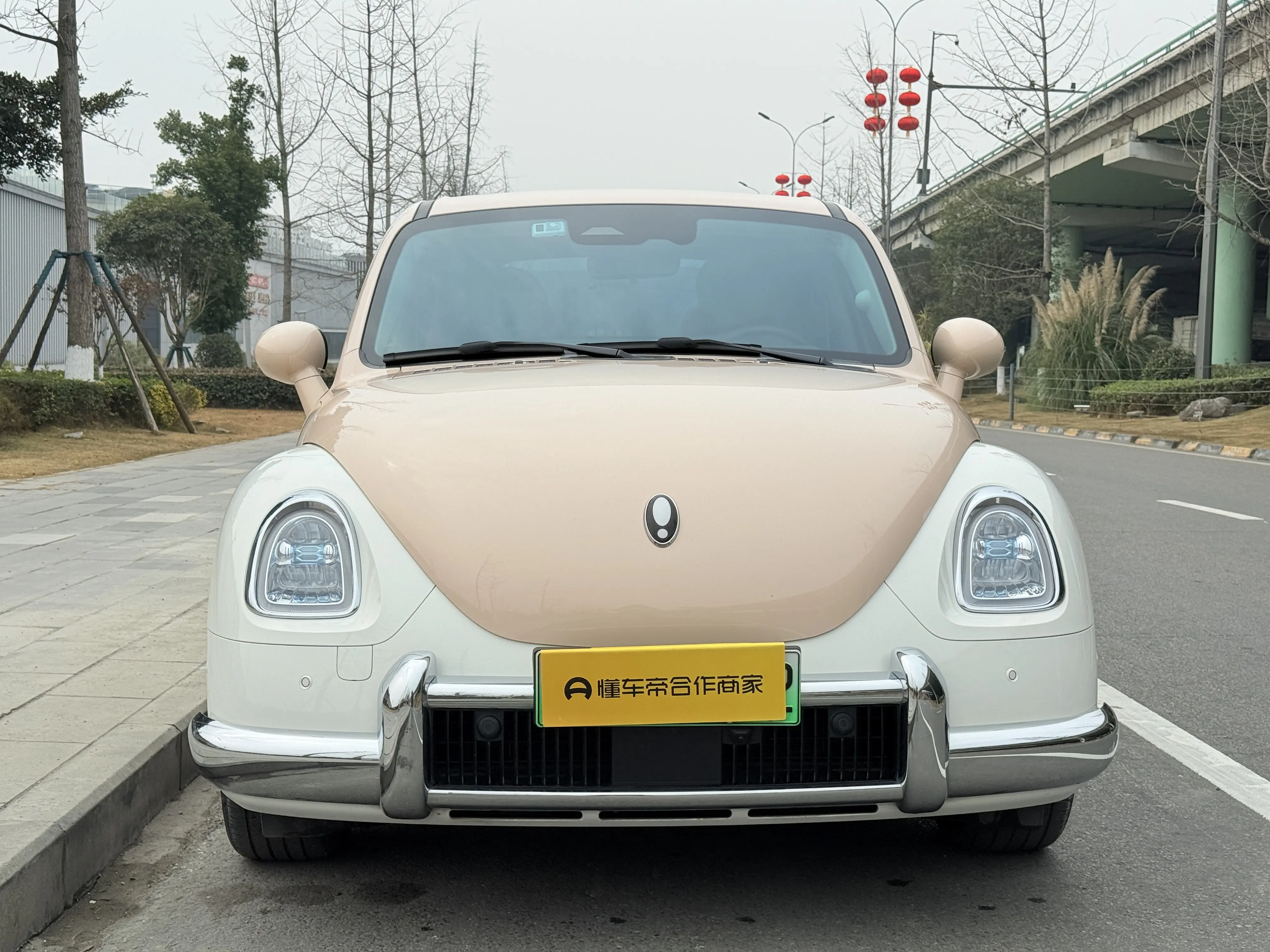 ORA Euler ballet cat  из Китая