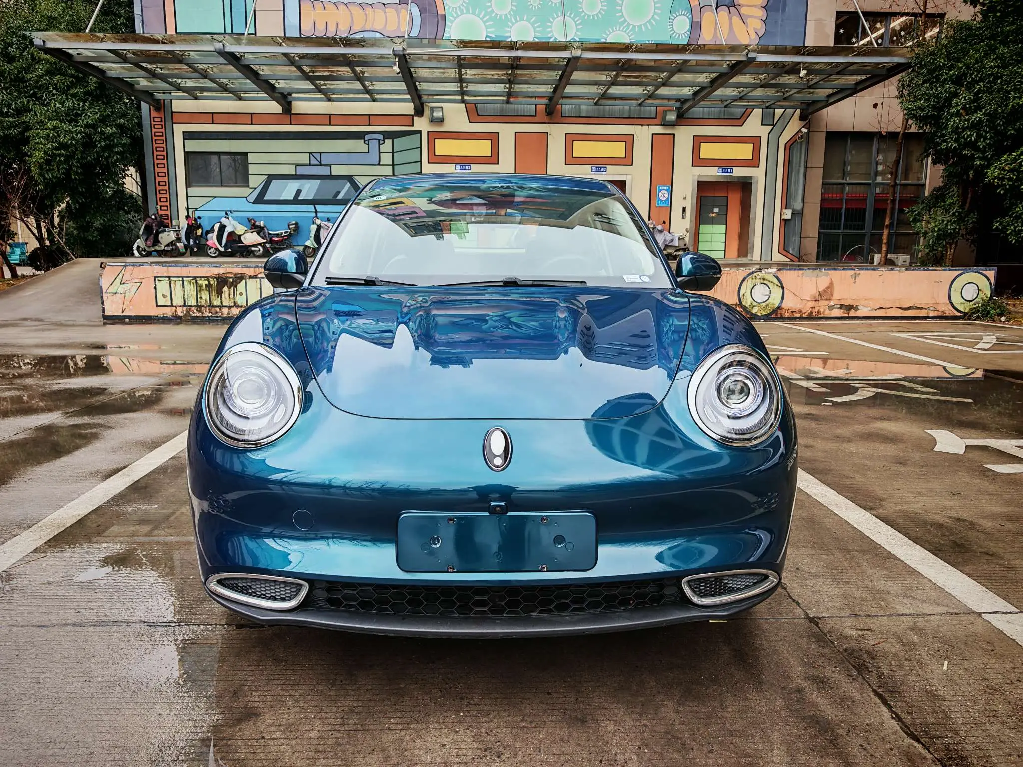 ORA Euler good cat  из Китая