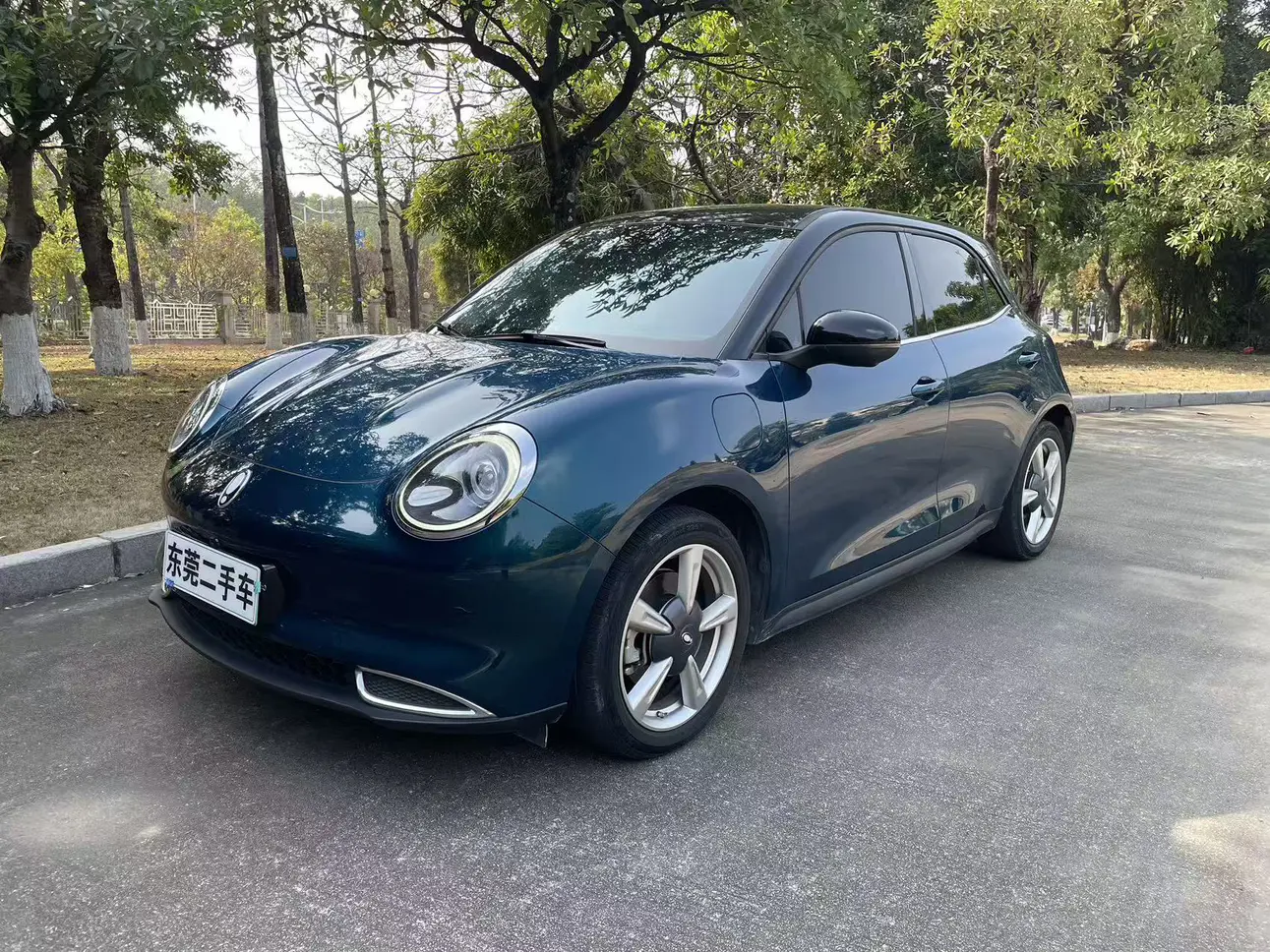 ORA Euler good cat  из Китая