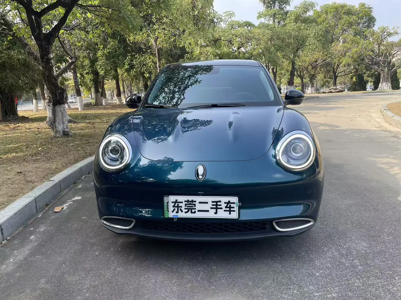 ORA Euler good cat  из Китая