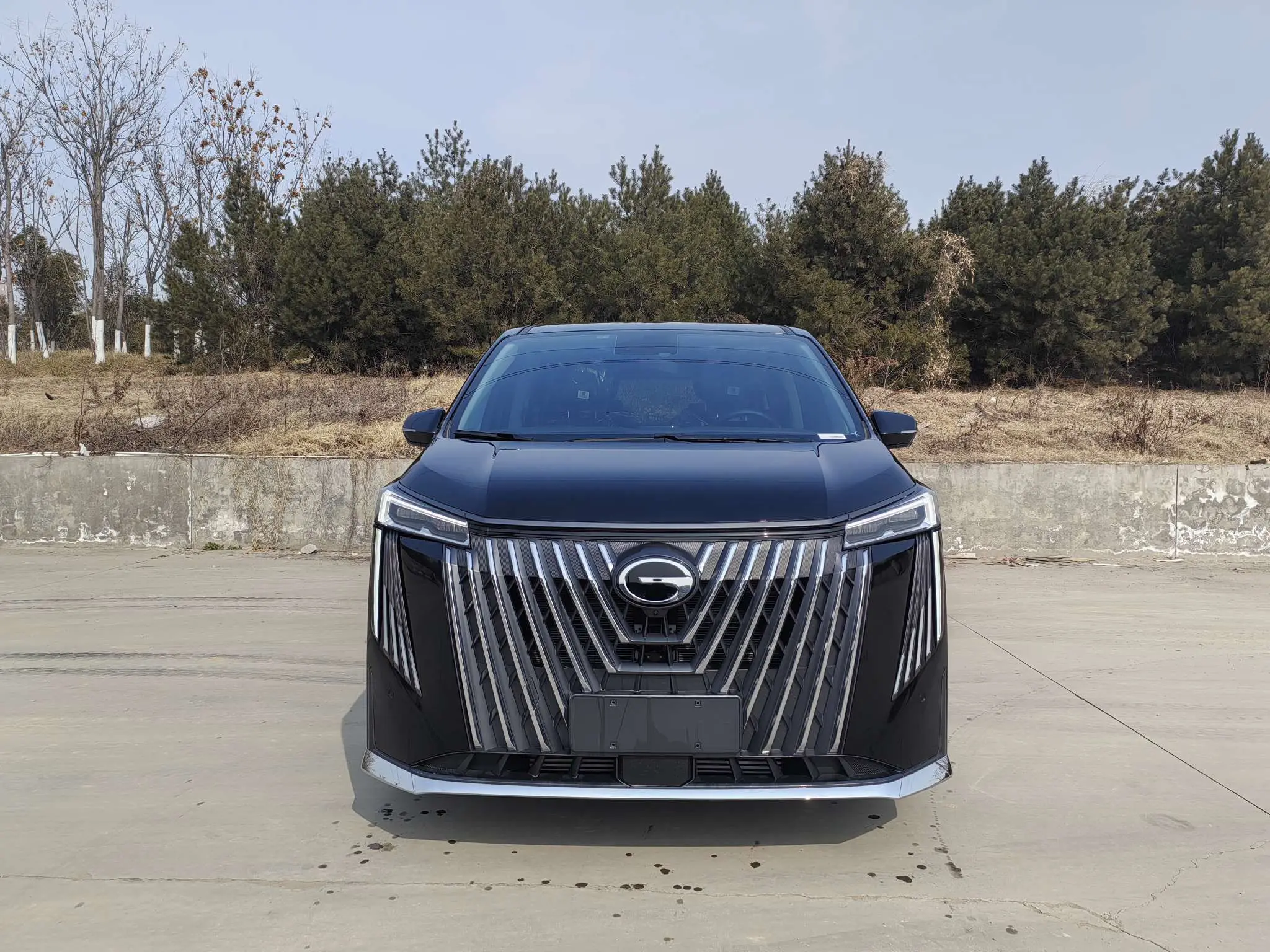 GAC Trumpchi M8  из Китая