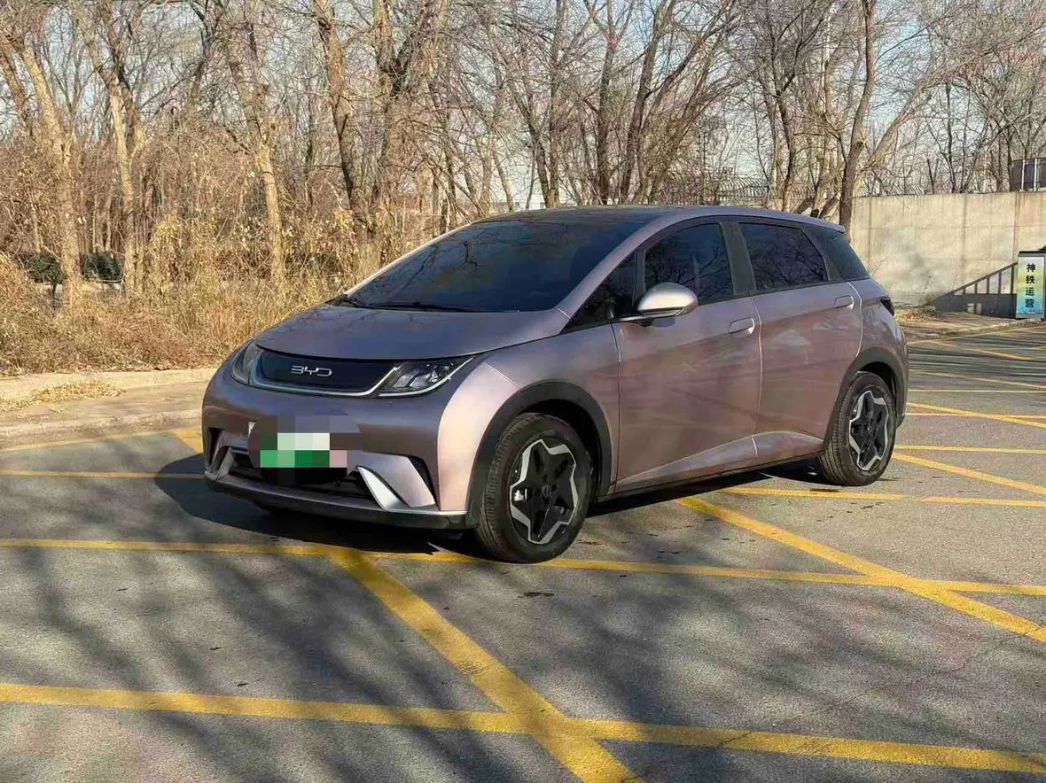 BYD Dolphin  из Китая